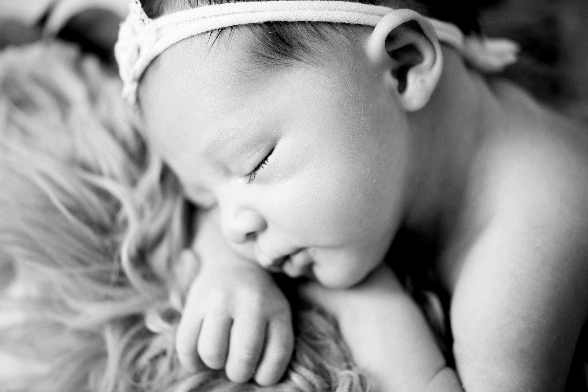 Rose Themed Newborn Photo Shoot 