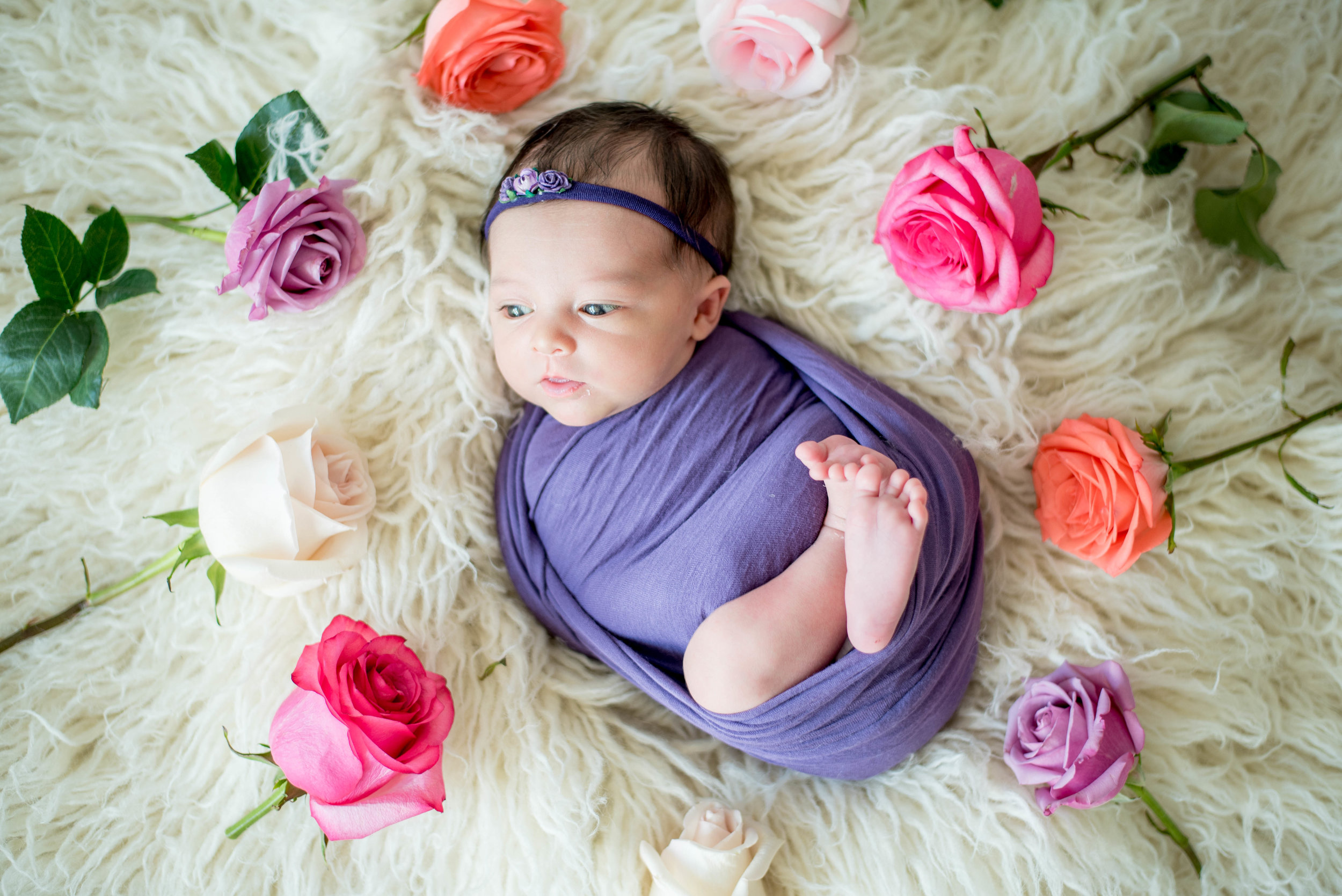 Rose Themed Newborn Photo Shoot 