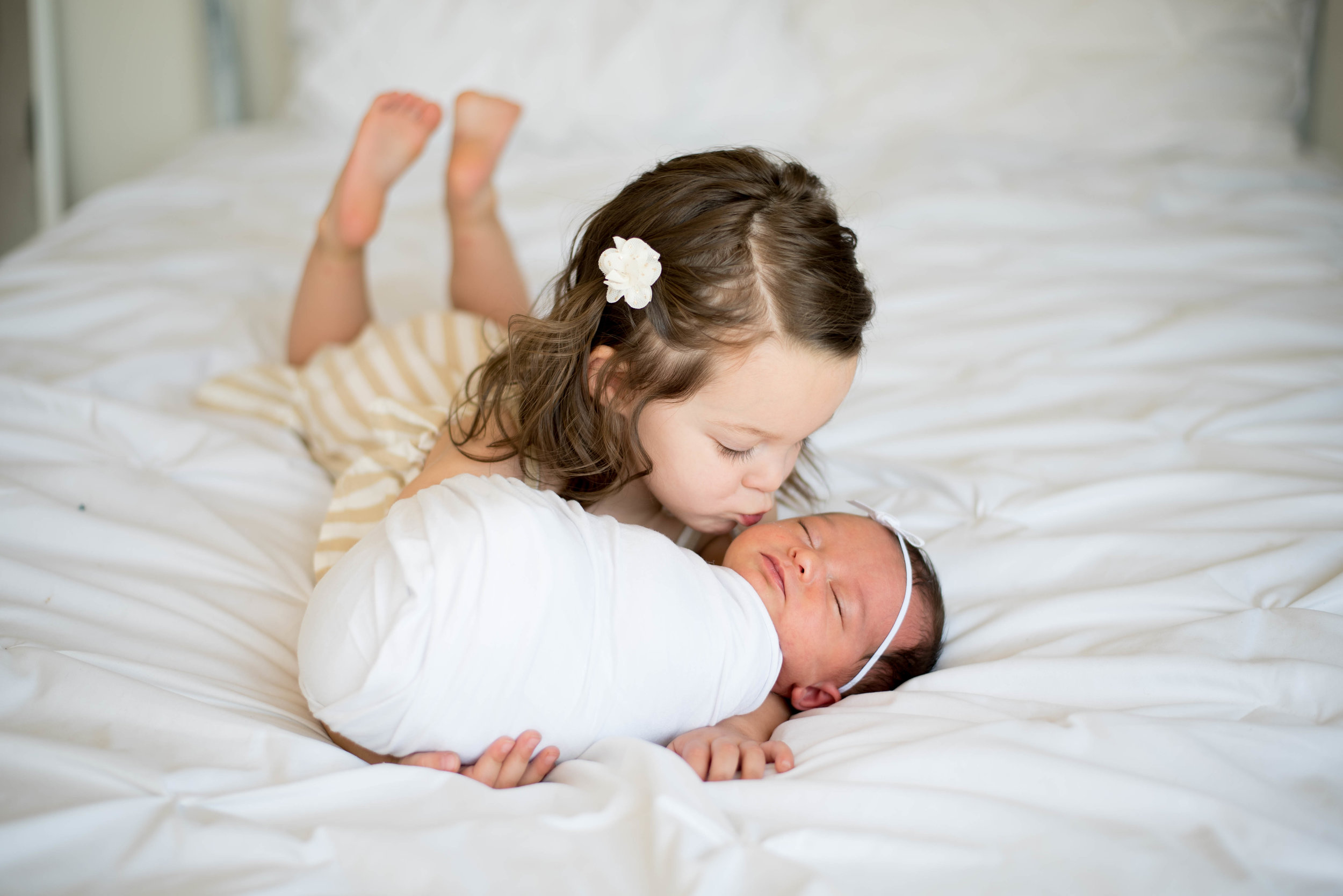 Rose Themed Newborn Photo Shoot 