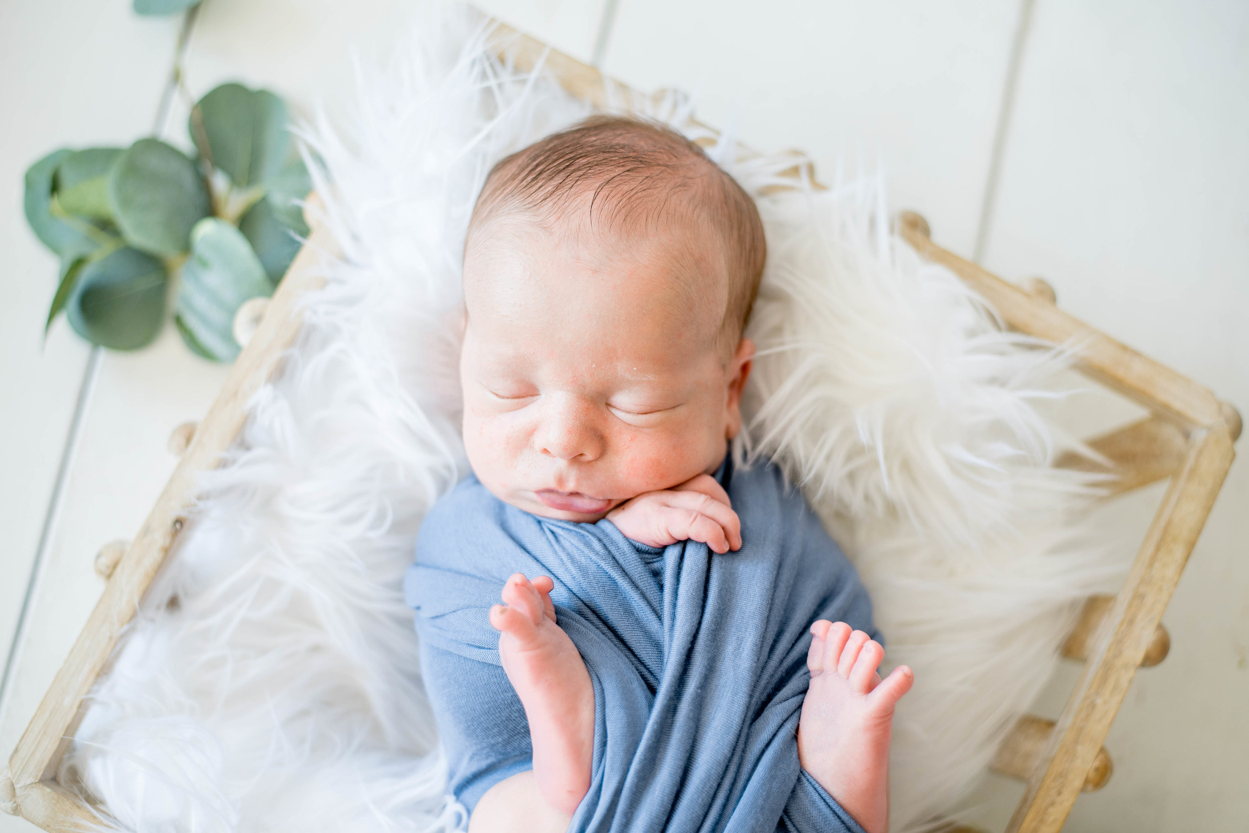 Newborn Twin Photos