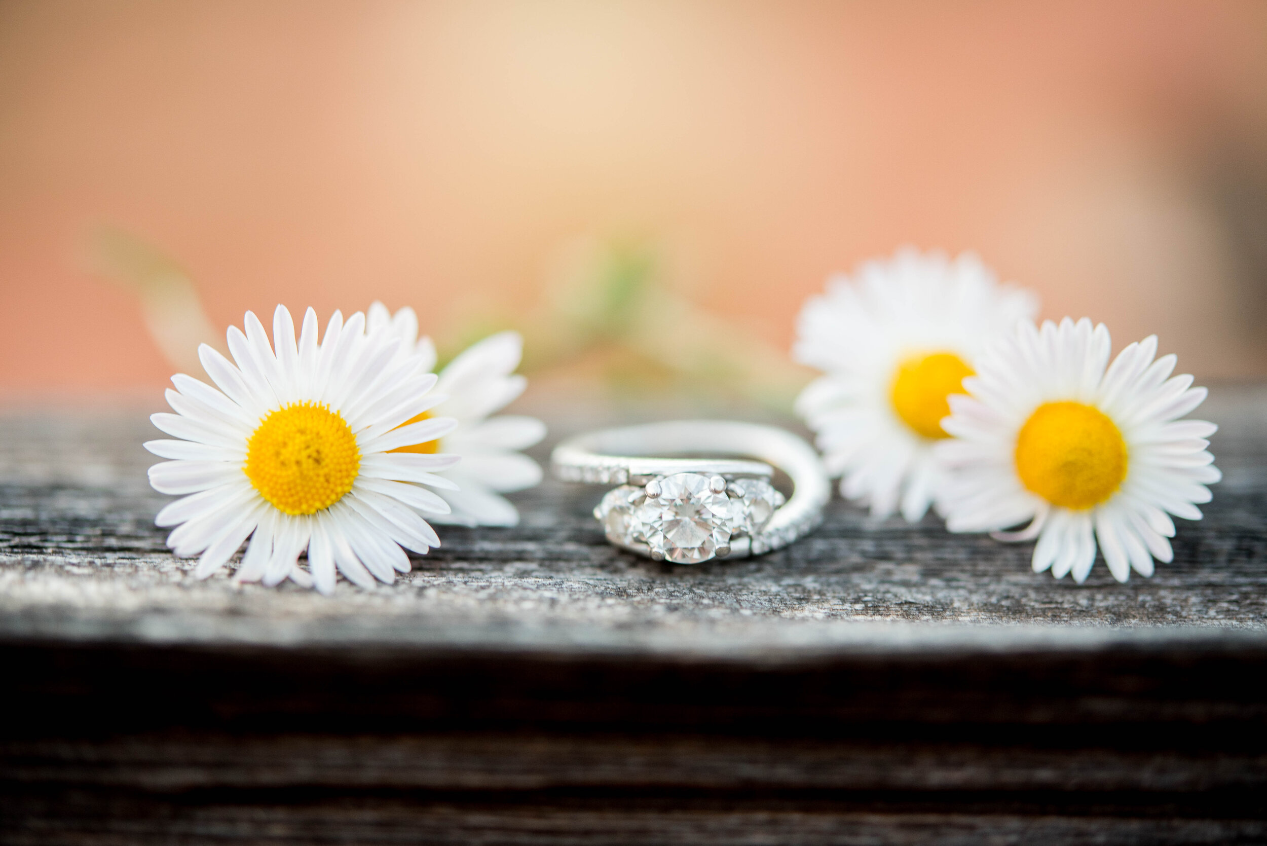 Engagement Photography 