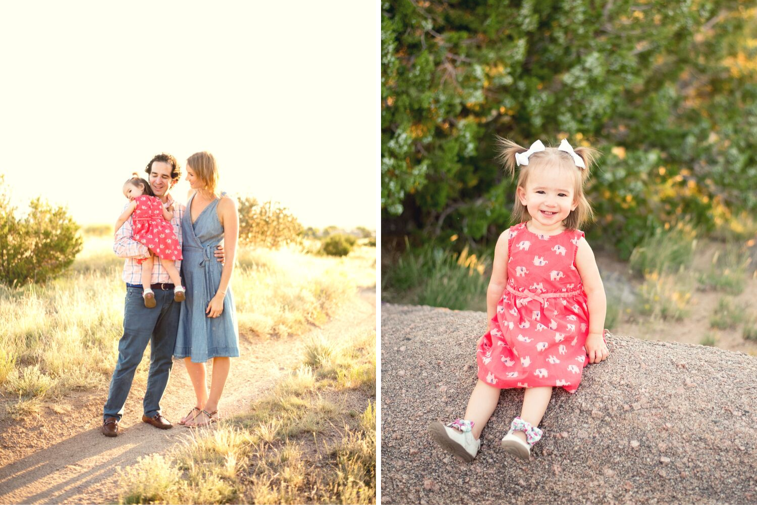 Albuquerque Family Portraits