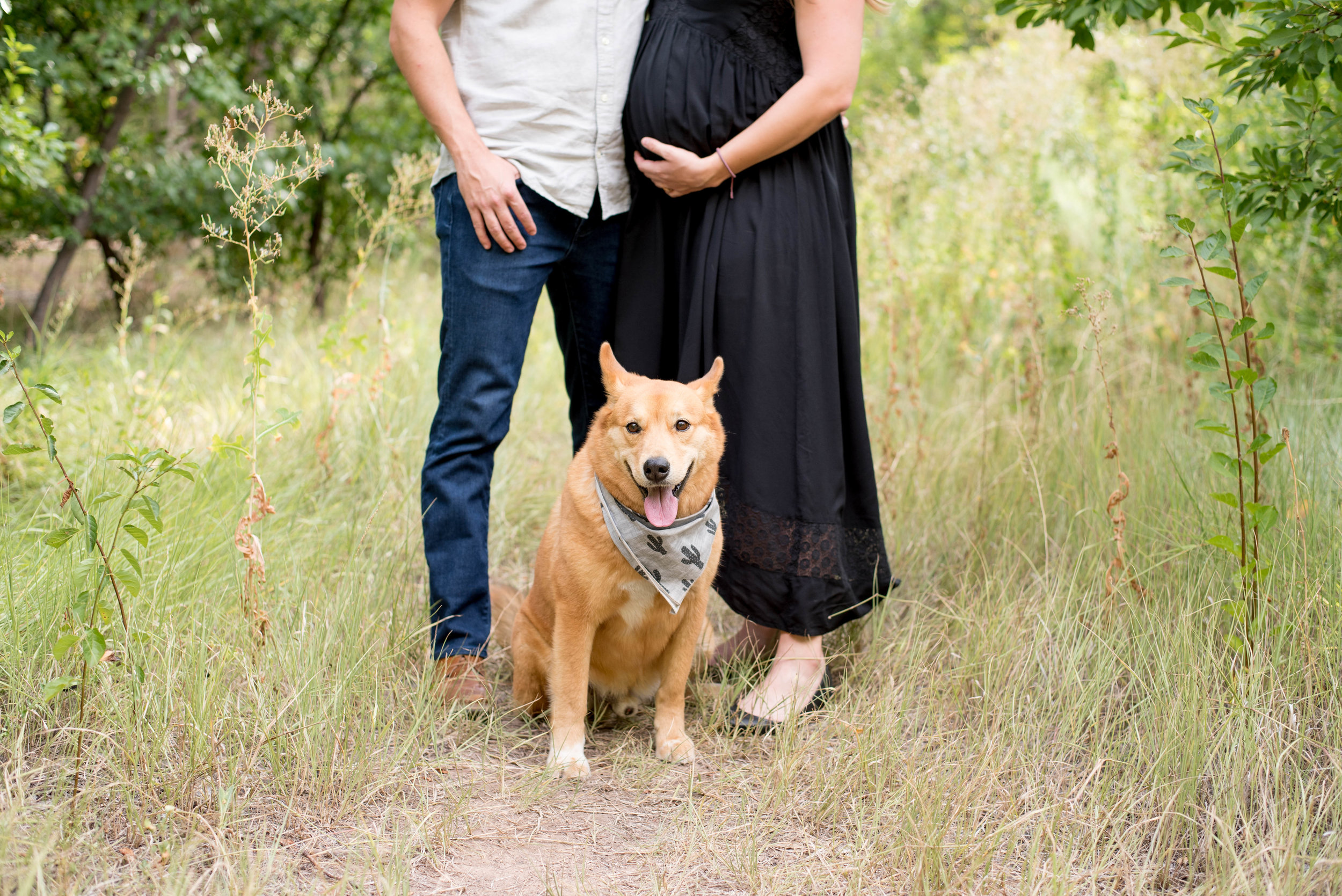 Maternity Photography Albuquerque 