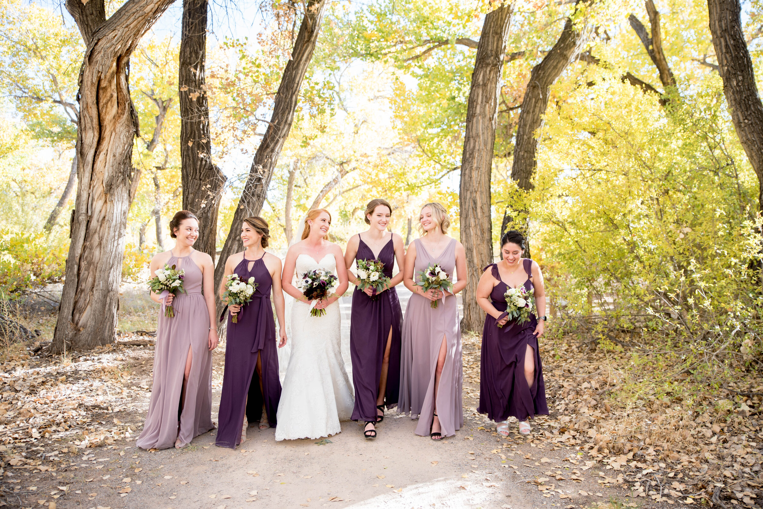 albuquerque fall wedding