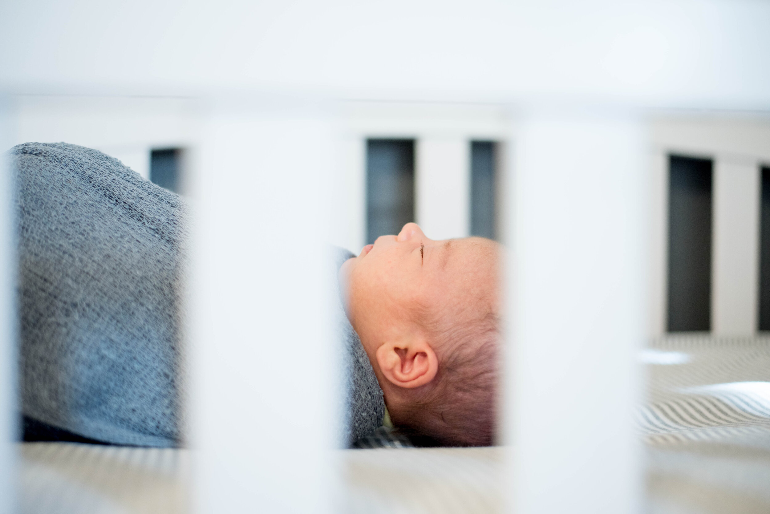 newborn photo session albuquerque nm