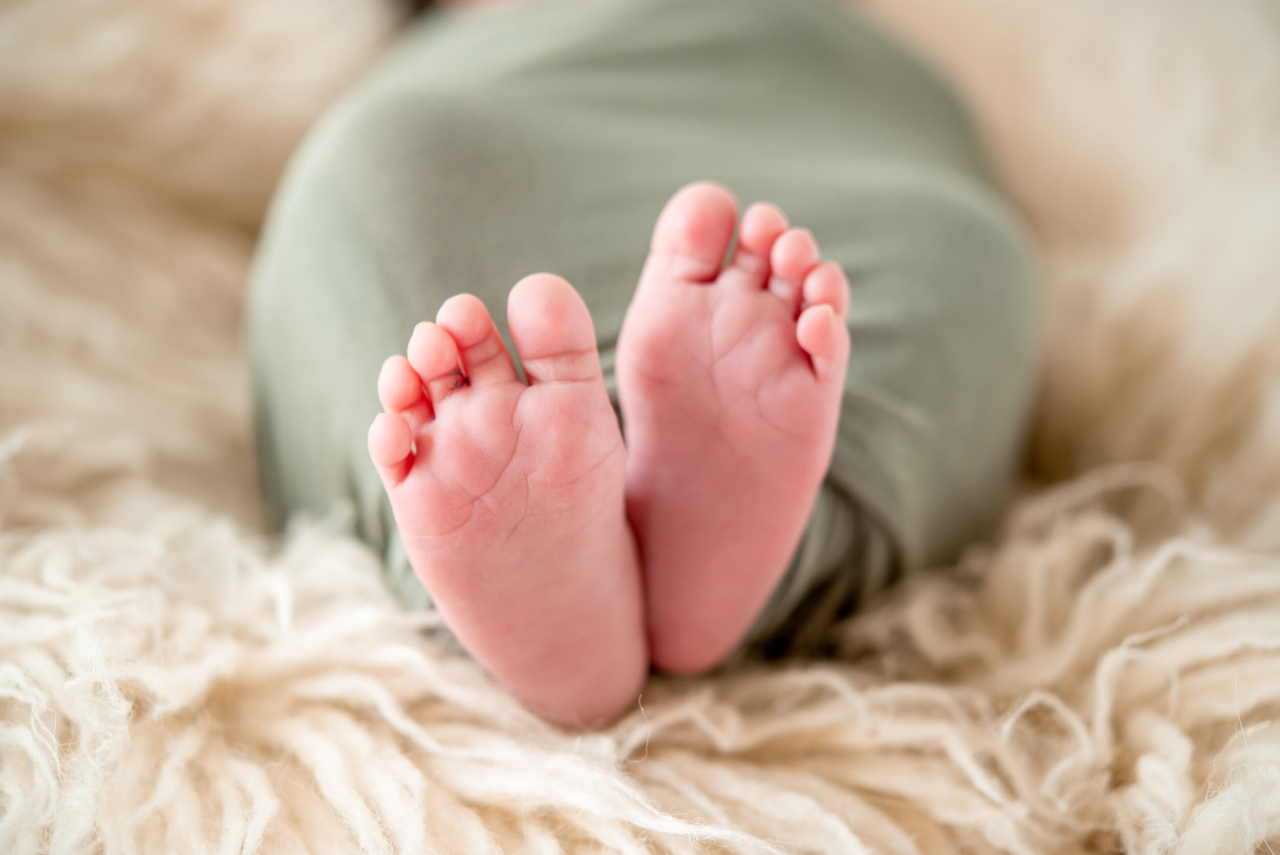 baby toes photography albuquerque new mexico