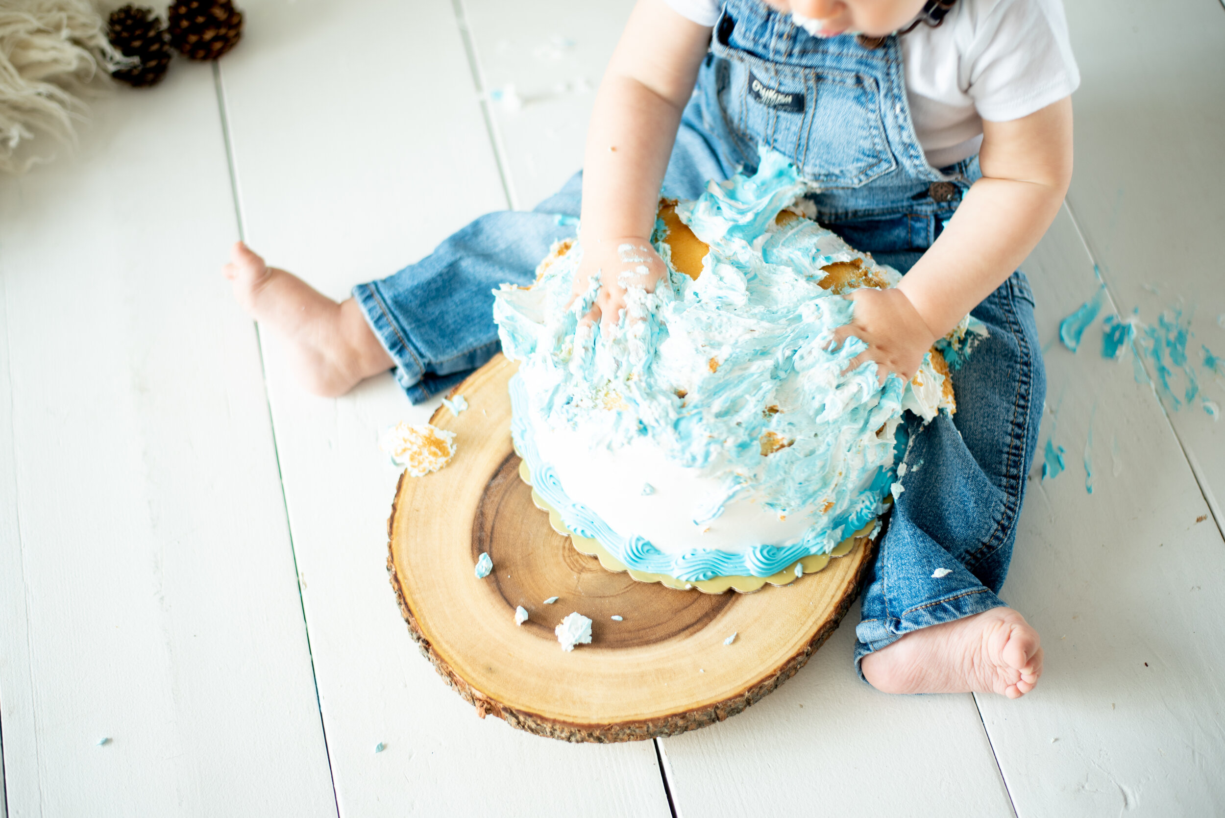 one year old birthday photo session