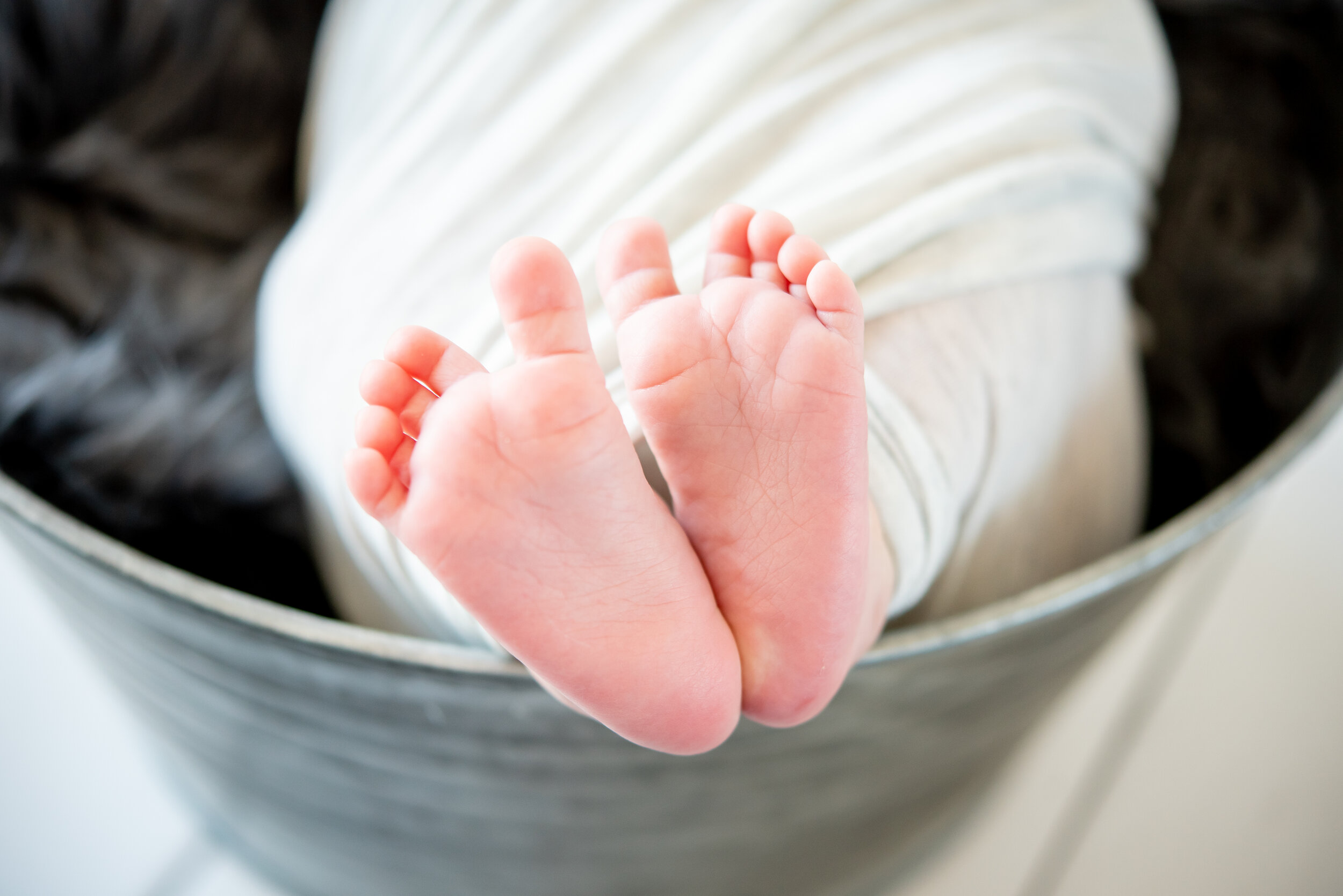 baby toes photo session