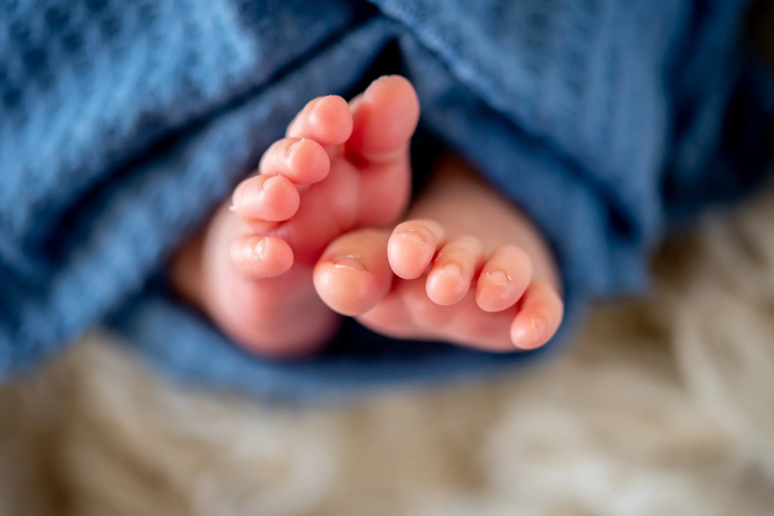 newborn photographer los lunas