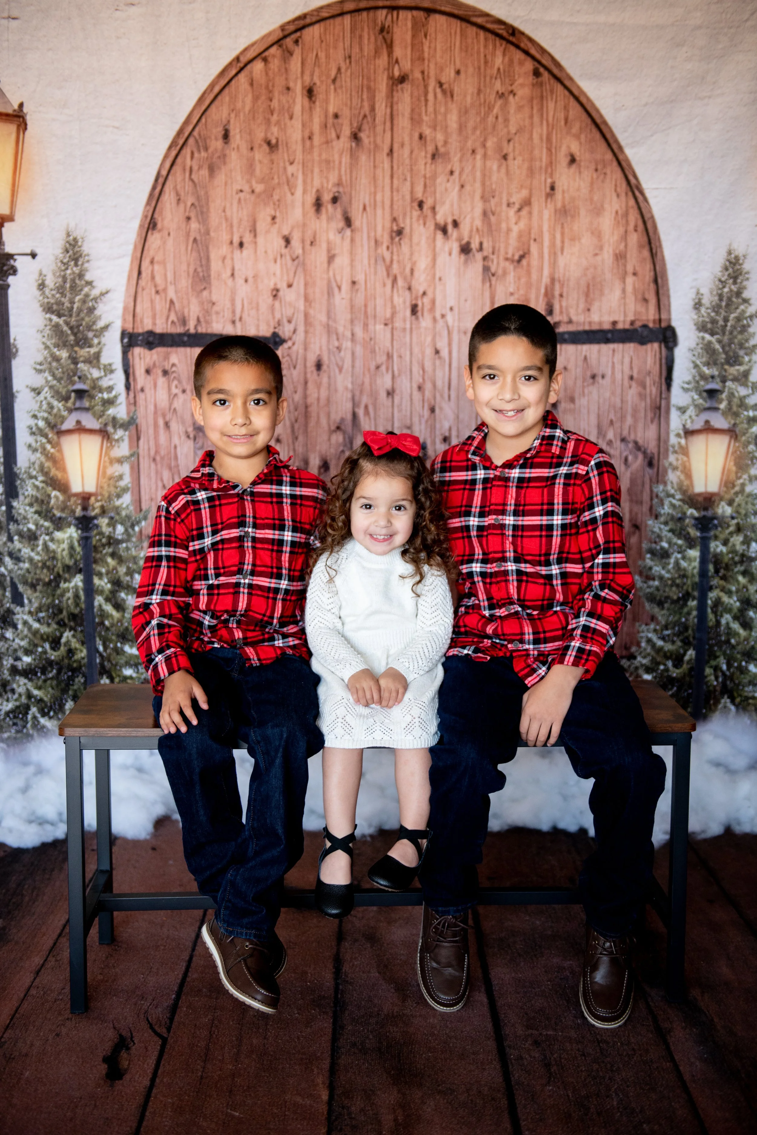 christmas photography new mexico studio