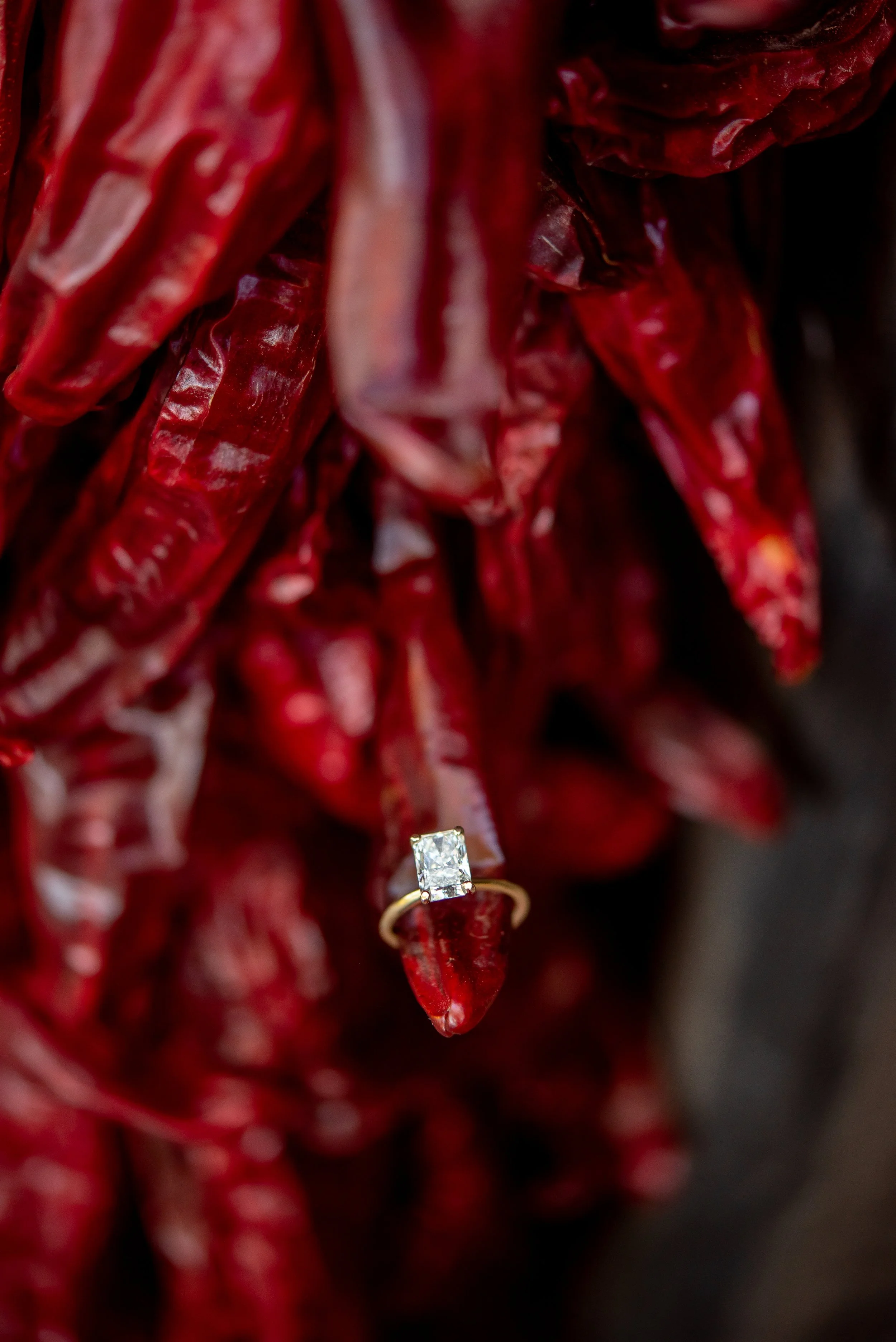 LaurenCheriePhotography__-42.jpg