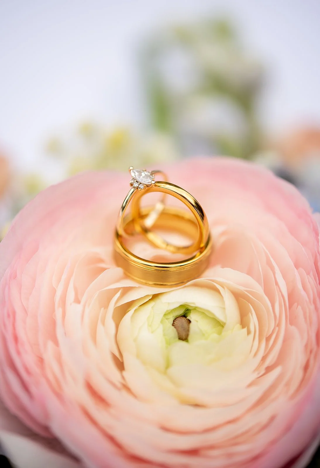 Albuquerque Wedding Photography