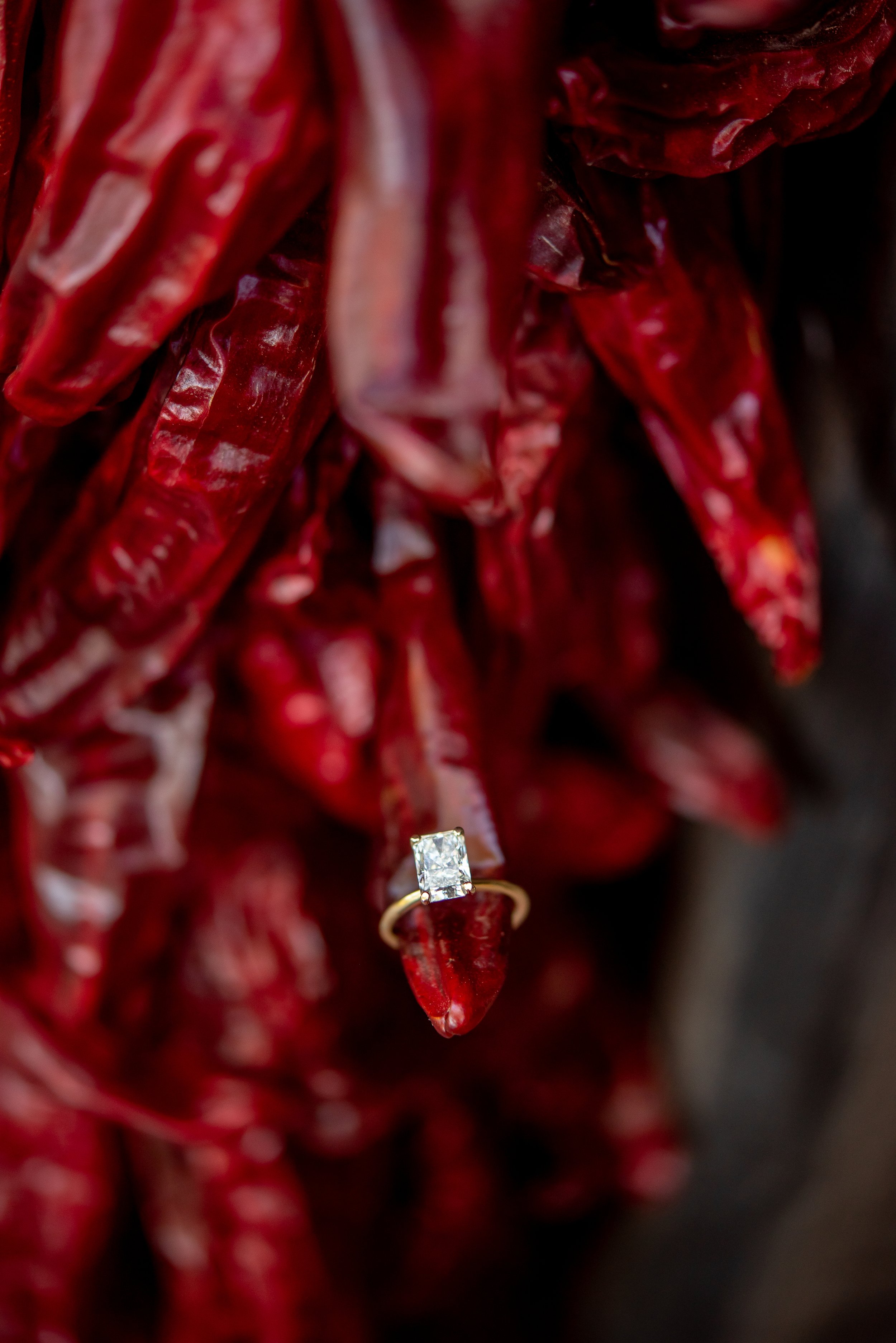 LaurenCheriePhotography__-42.jpg