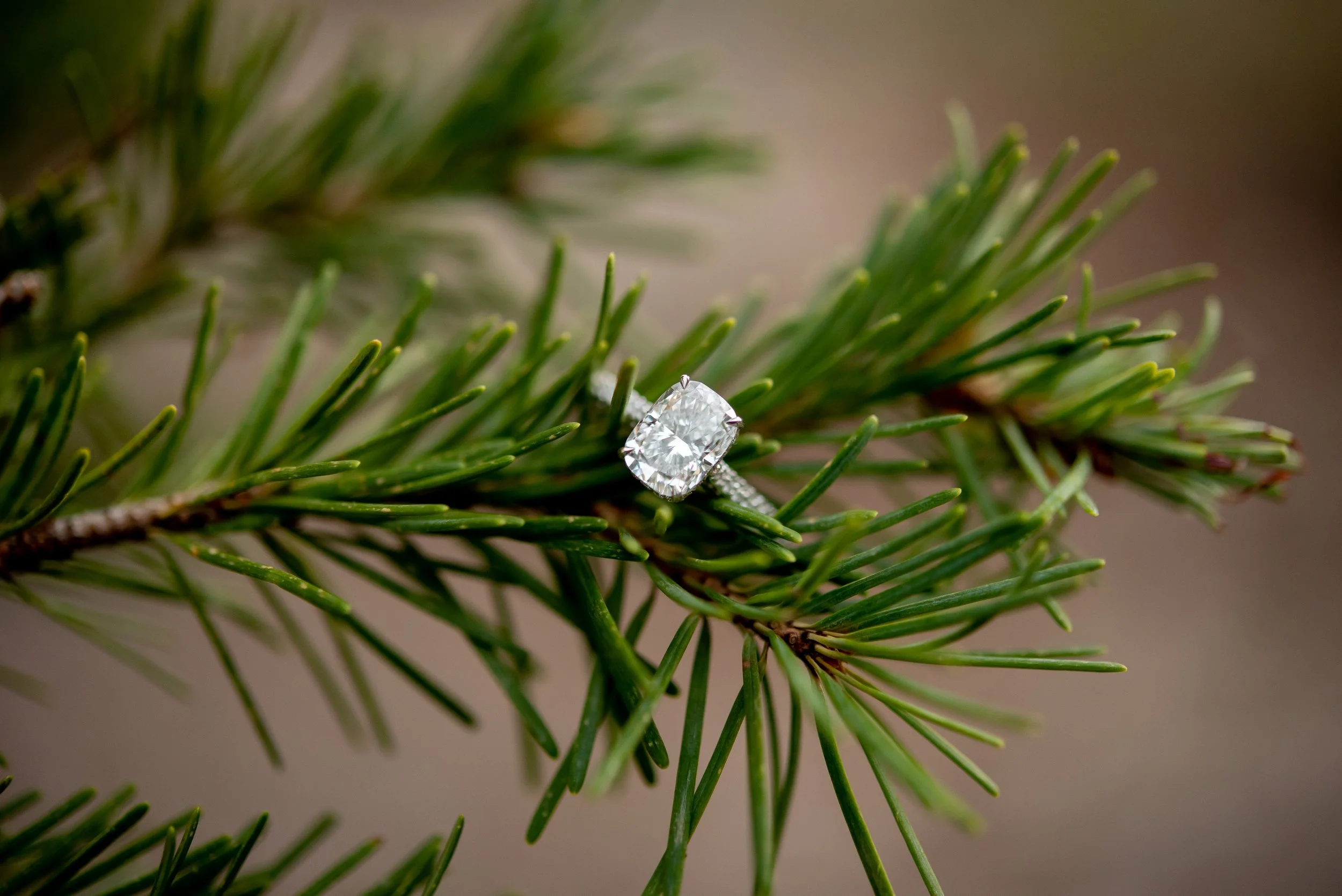 LaurenCheriePhotography__-105.jpg