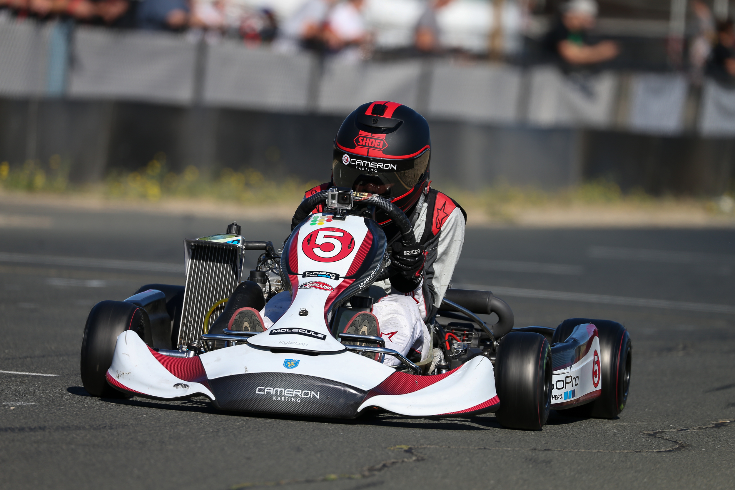 Sanzaru Games Karting Championships Race 8