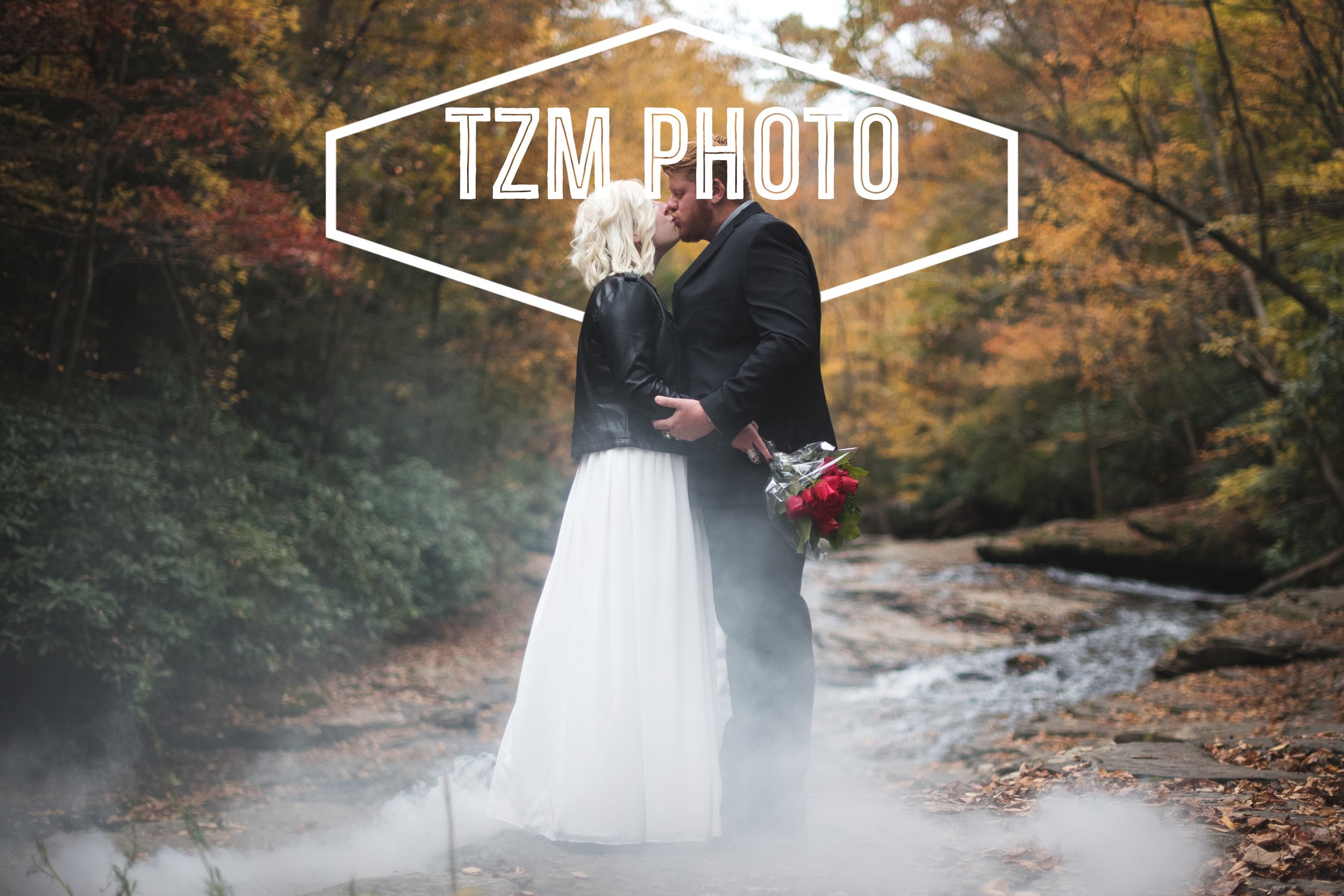 TZMPhotobackground2024Null.jpg