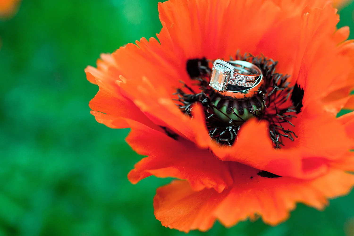 denver-wedding-photographer-botanic-ring3.jpg