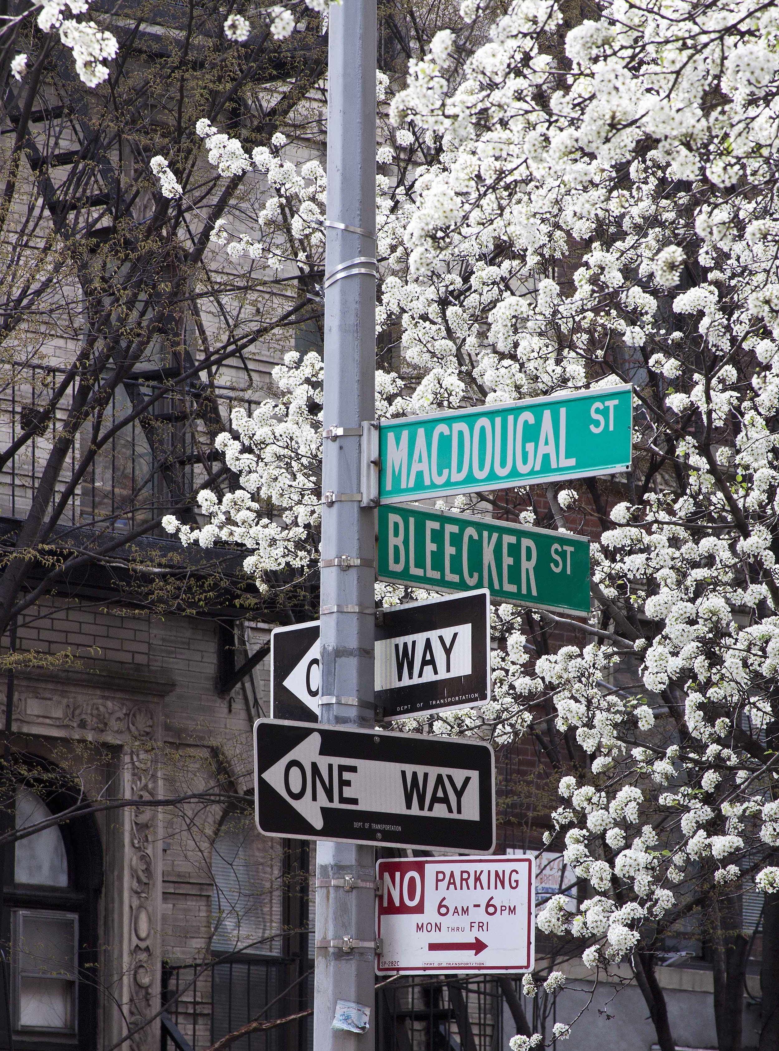 Bleecker St sign color.jpg