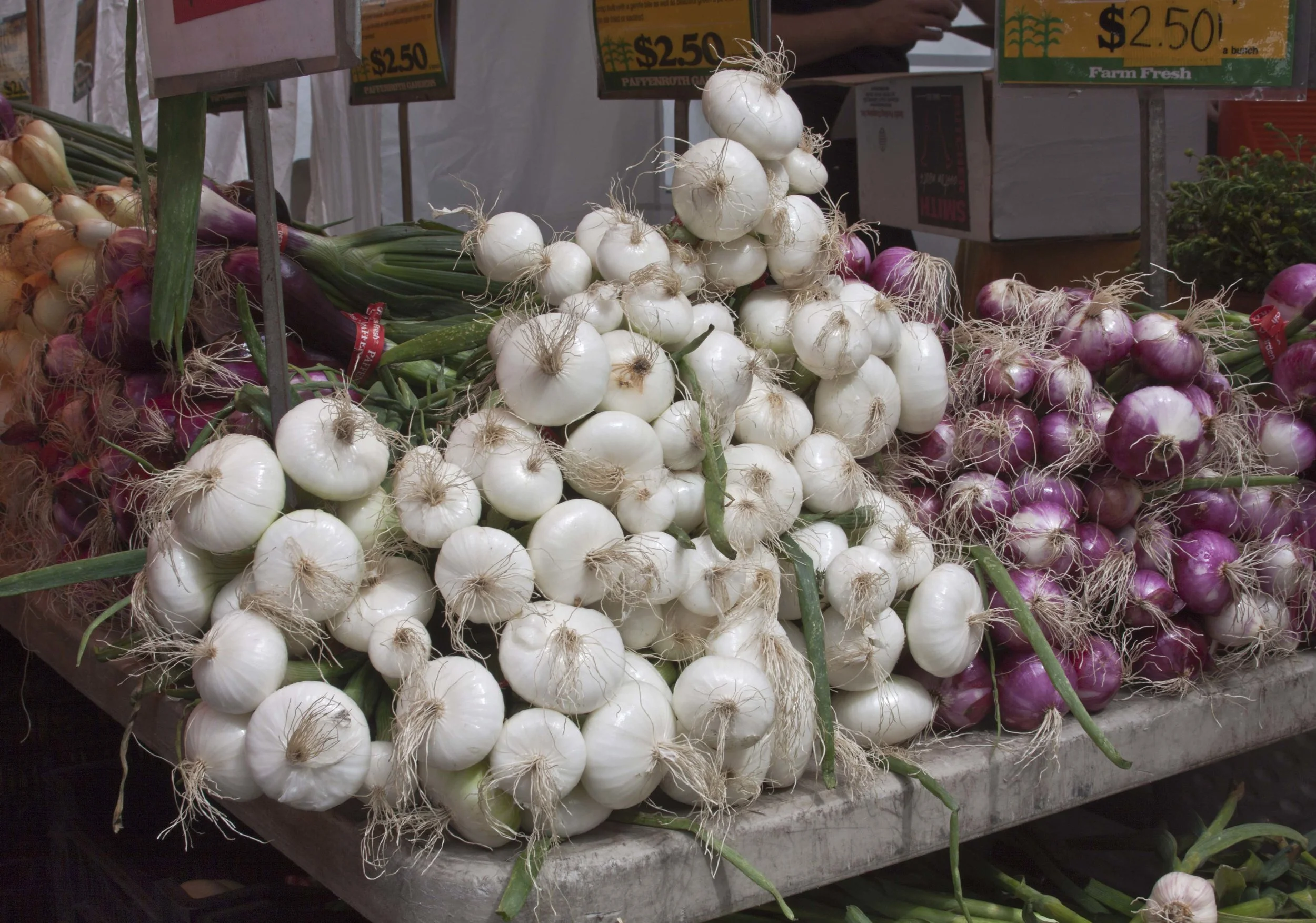 Union Square Market
