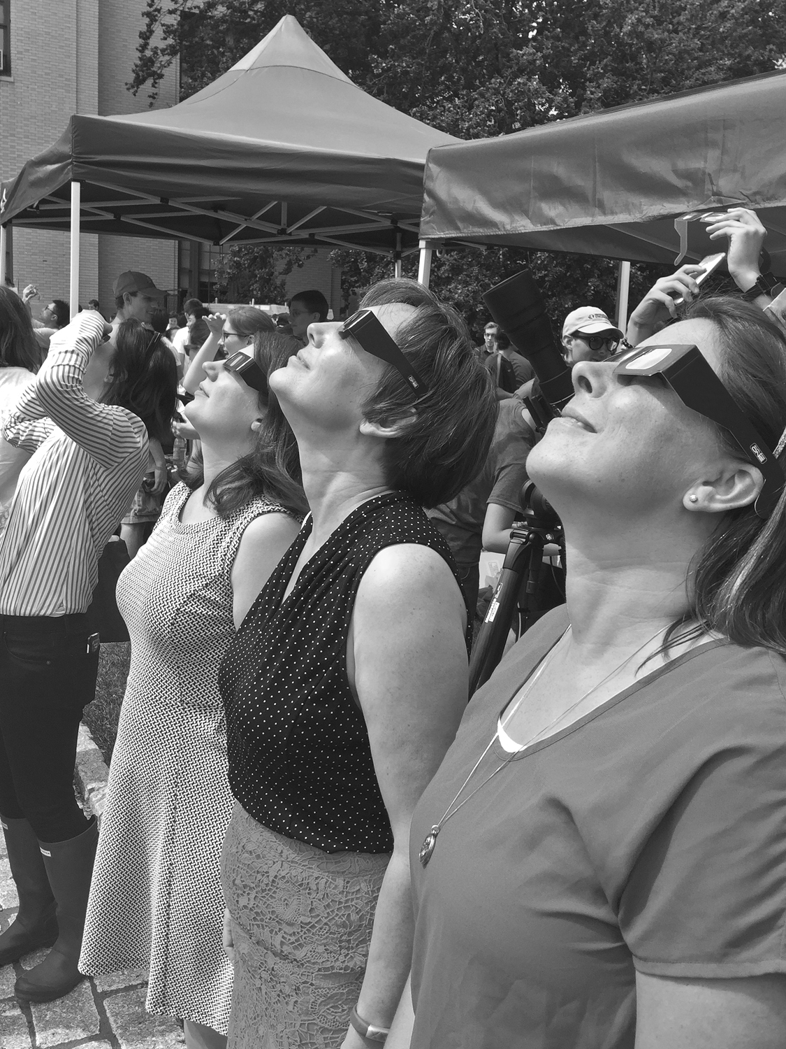 Viewing the eclipse v2 ss.jpg