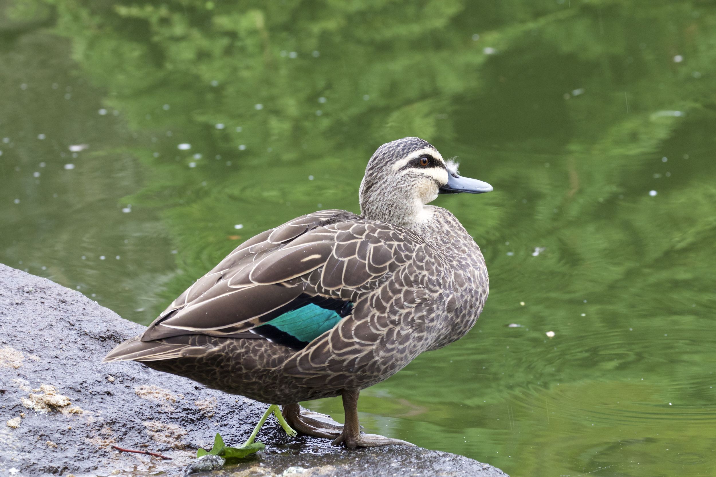 The significance of a theory