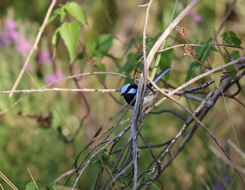 How to be a scientist