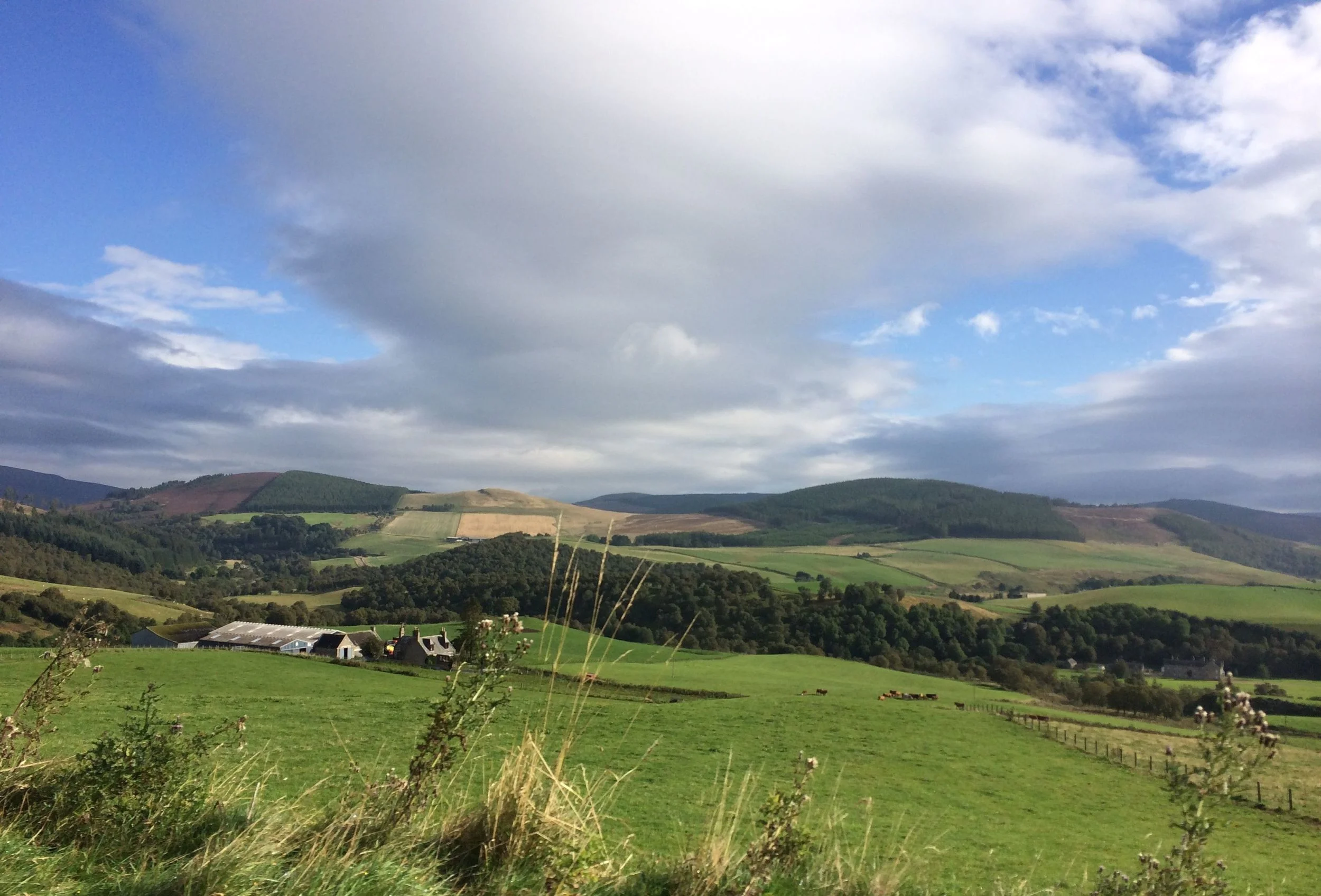 Not entirely about whisky