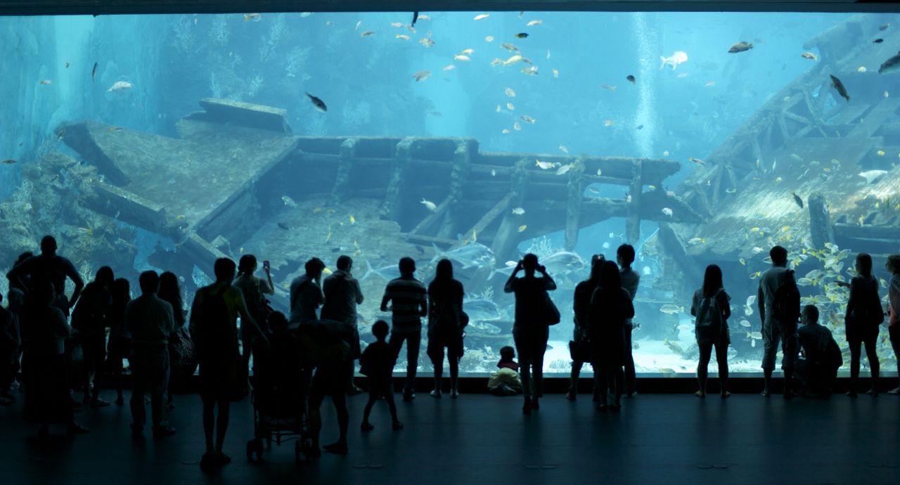 S.E.A. Aquarium, Singapore