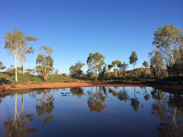 Temporary waterhole, Alice Springs, NT