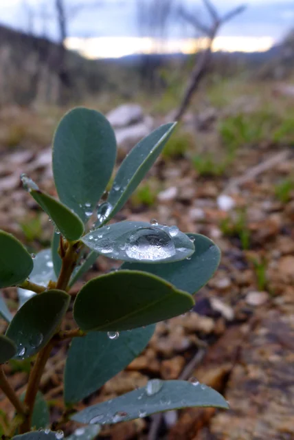 Flowing rivers and bird portraits