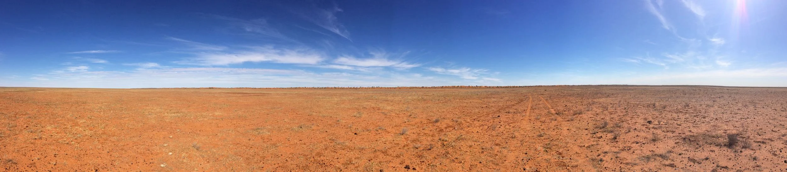 Expanse of cracking clay plains, Simpson Desert, NT