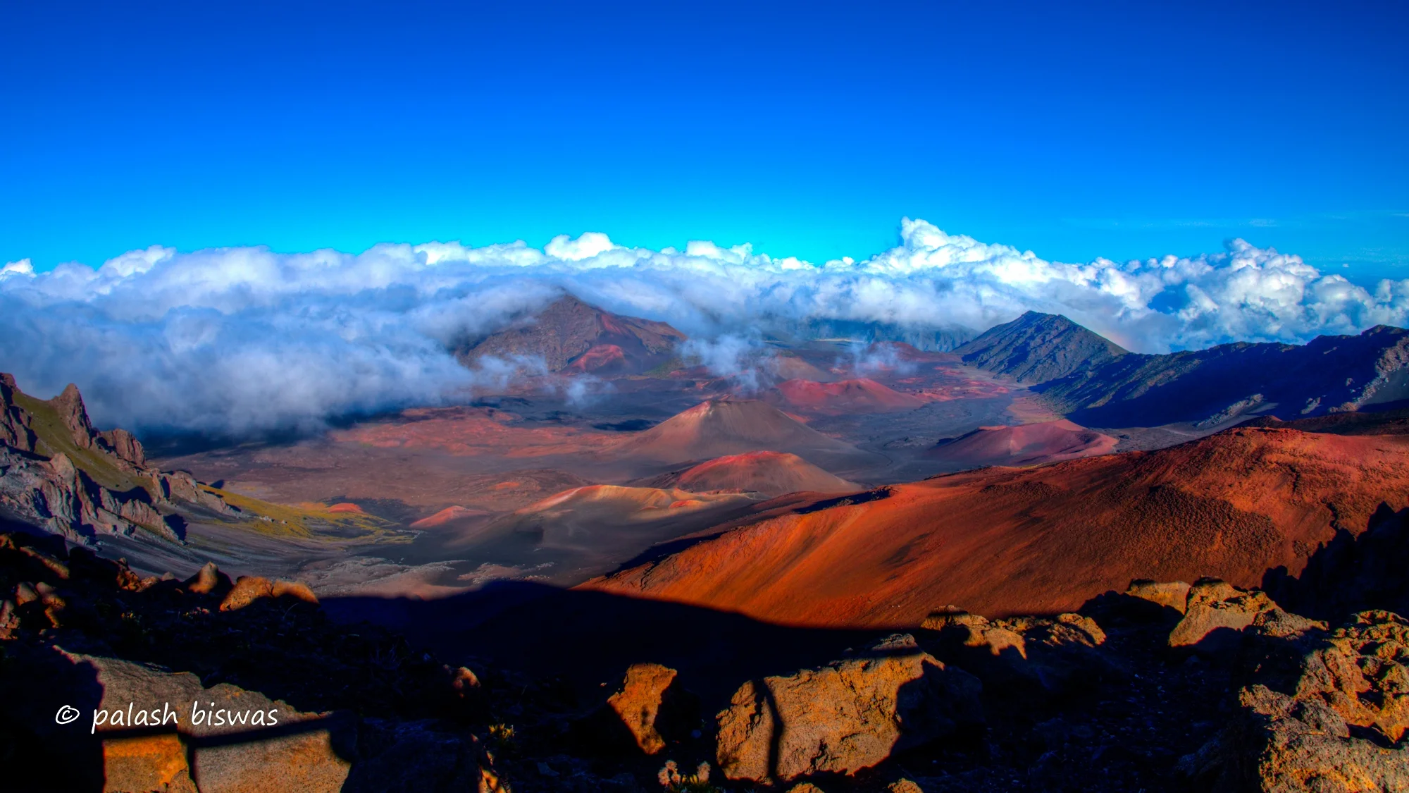 10952550274_f7b38f9672_o.jpg