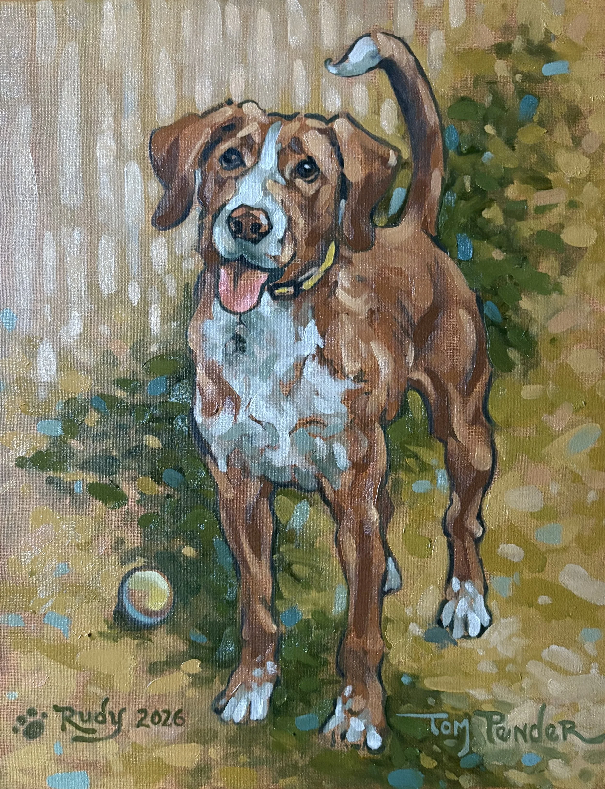 Rudy_16 x 20 Oil on canvas