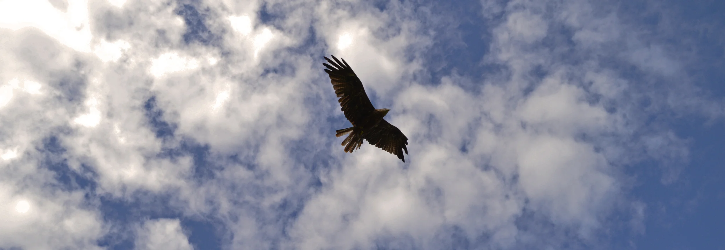 DSC_0134.jpg