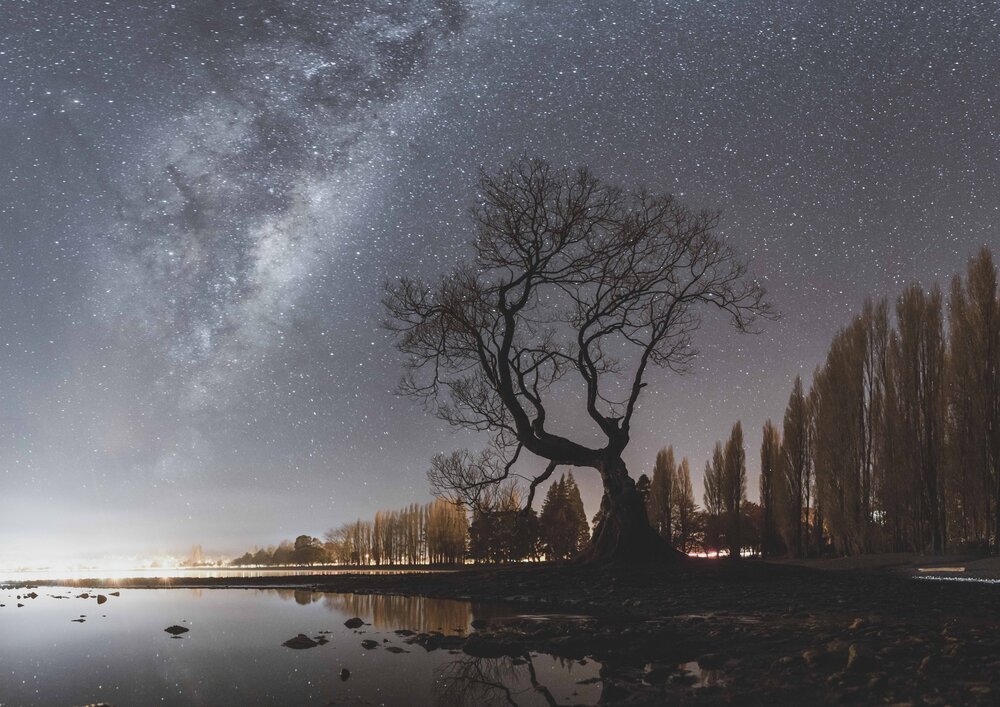 Wanaka Tree Milky Way New Zealand.jpg