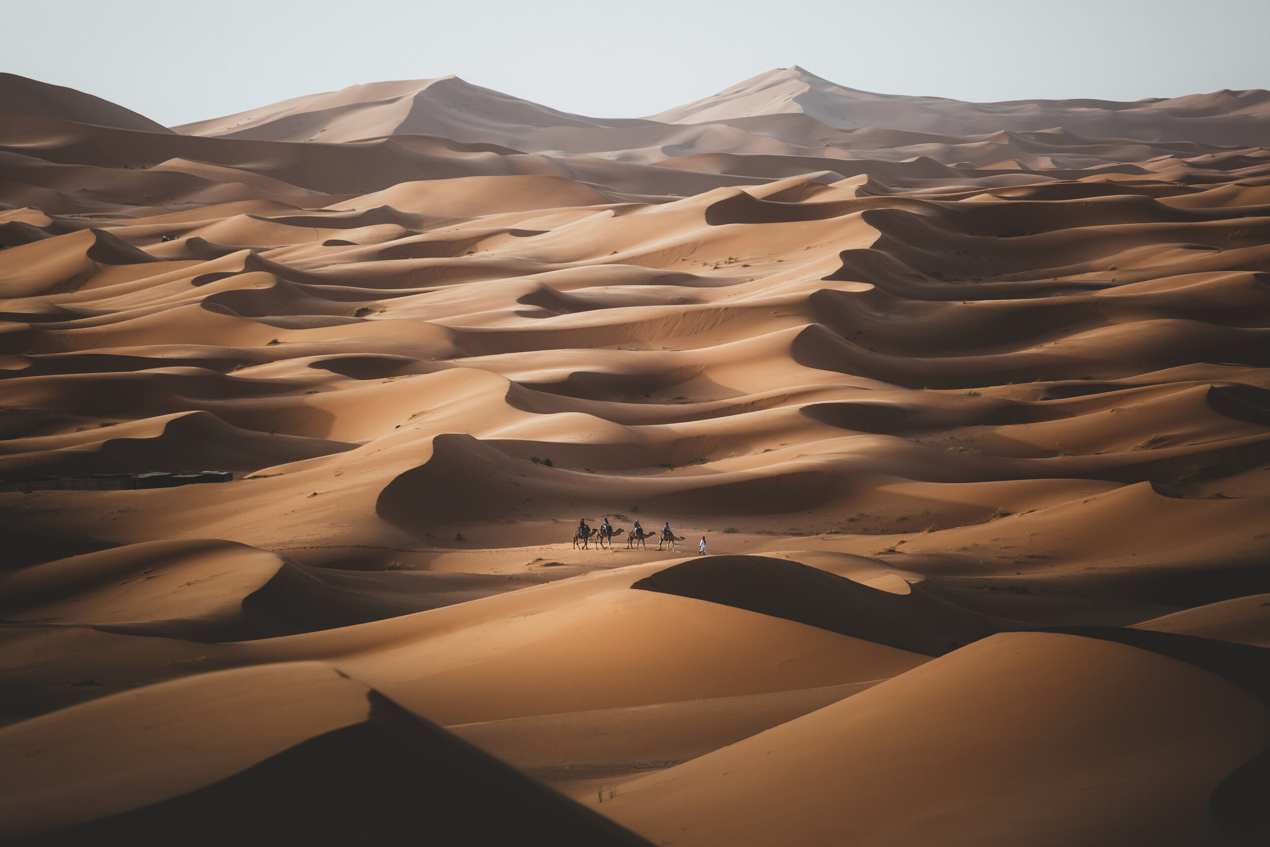 The Sahara.