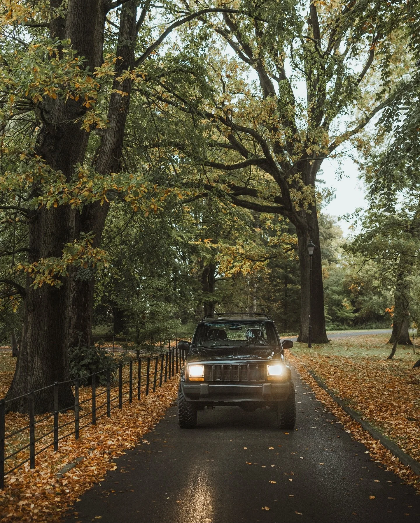 We&rsquo;re in the full swing 🍂