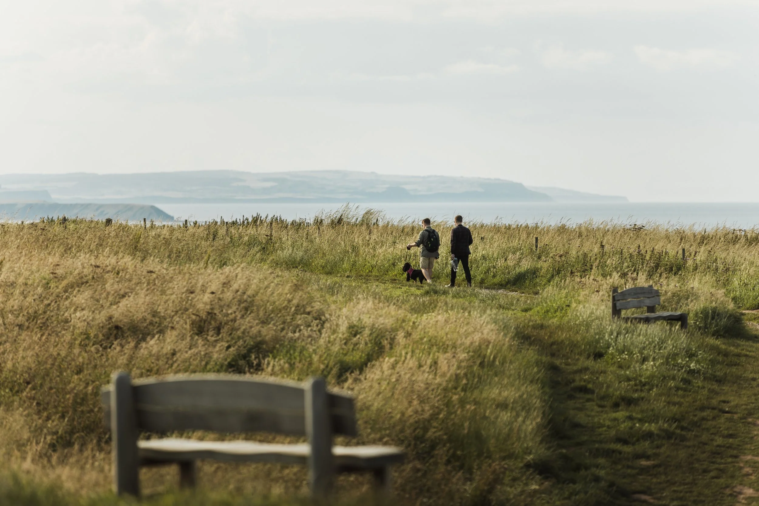 Bempton Cliffs.5.jpg