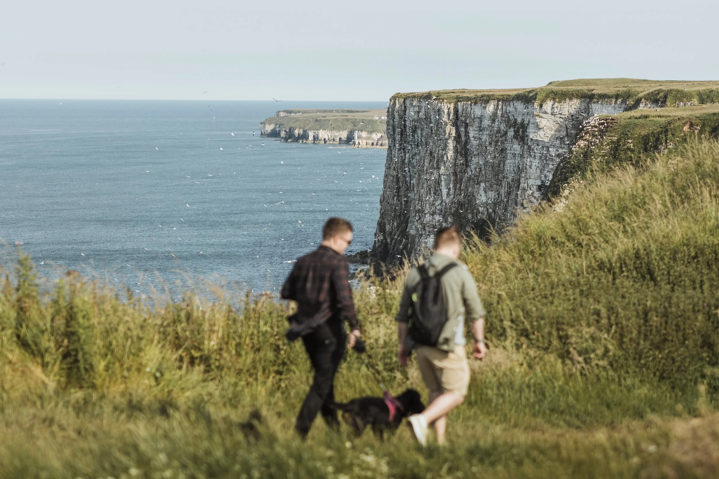 Bempton Cliffs.65.jpg