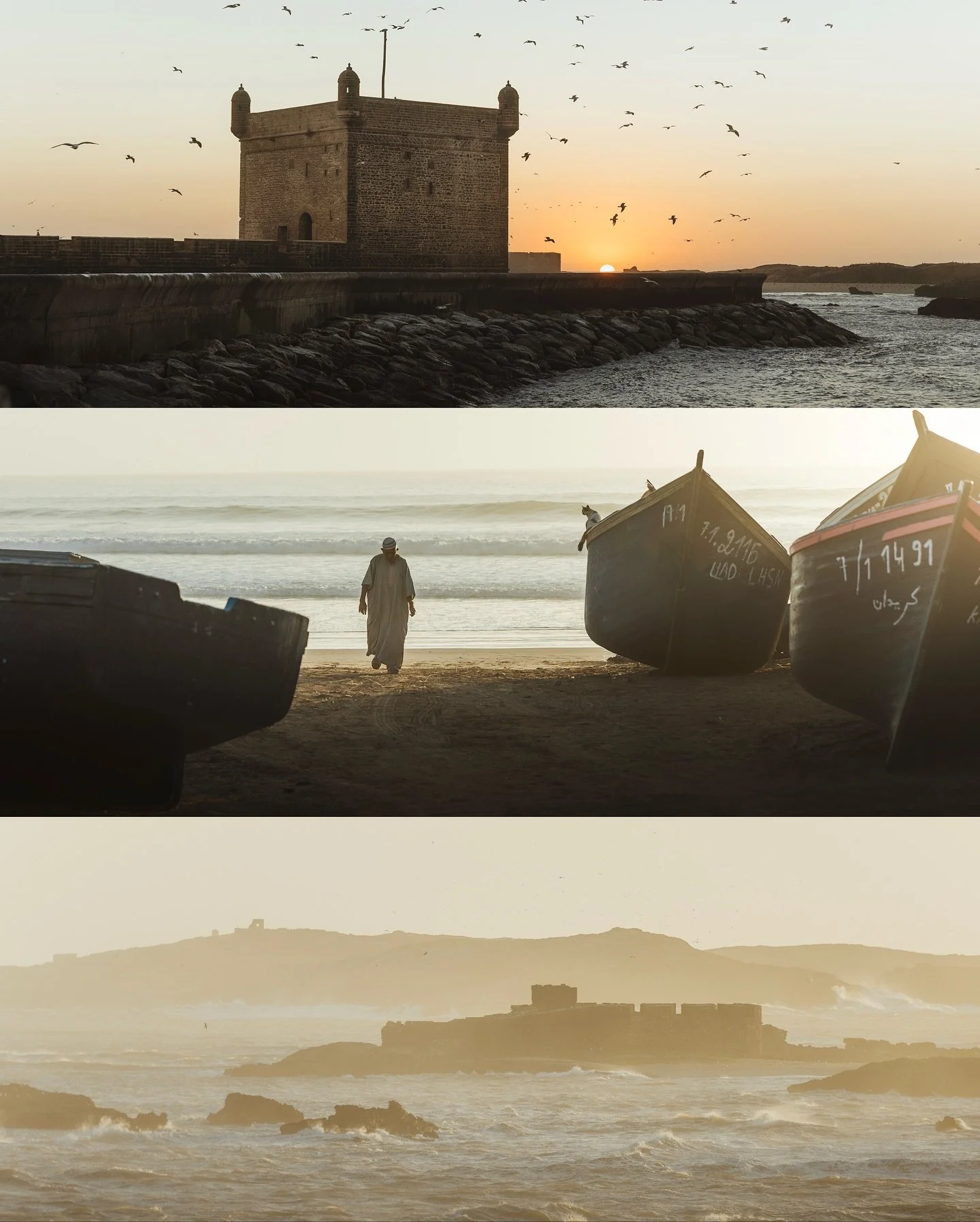 A few moments from exploring the Moroccan Atlantic coastline