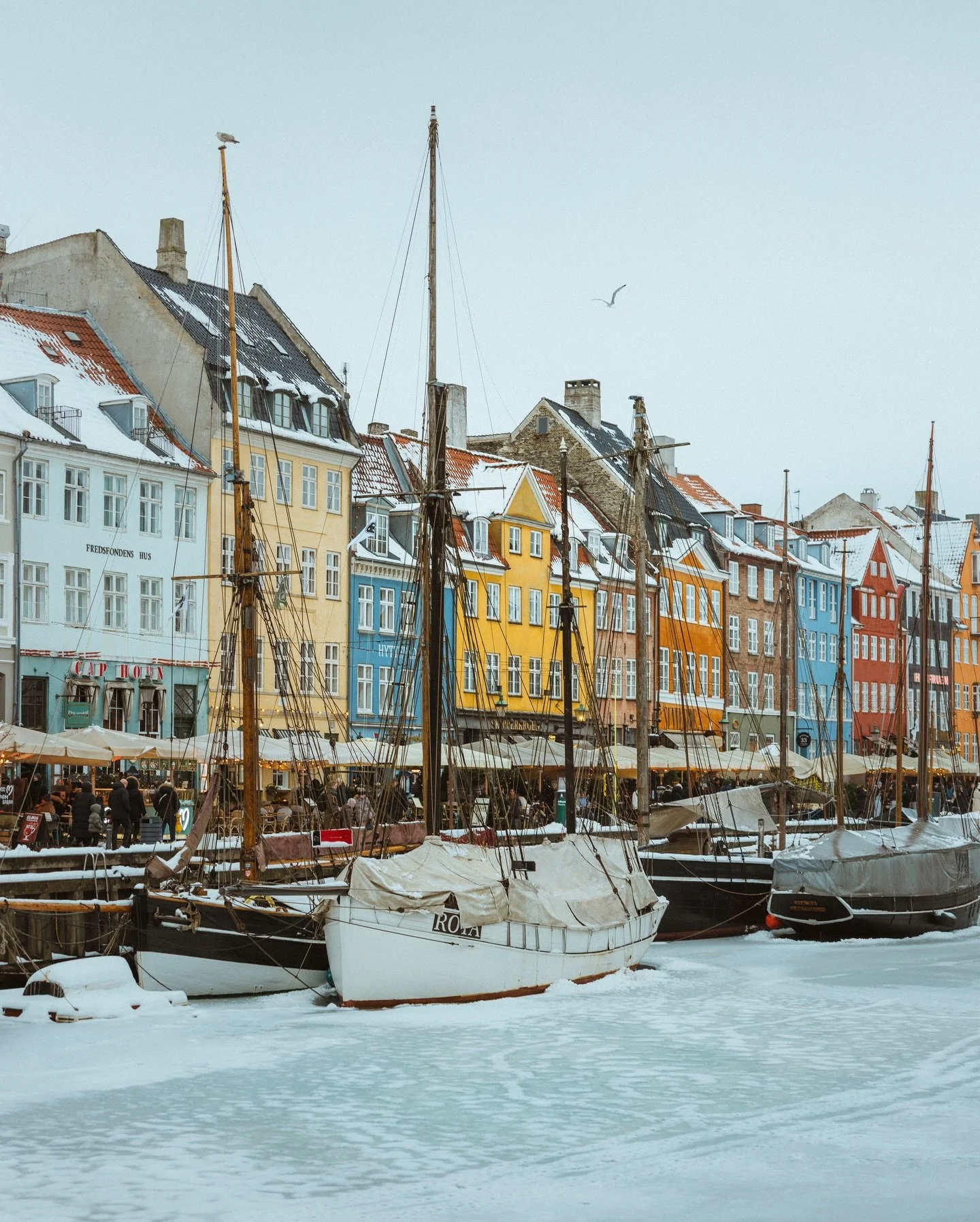 48 hours in a frozen Copenhagen 

#copenhagen #denmark #nyhavn #k&oslash;benhavn