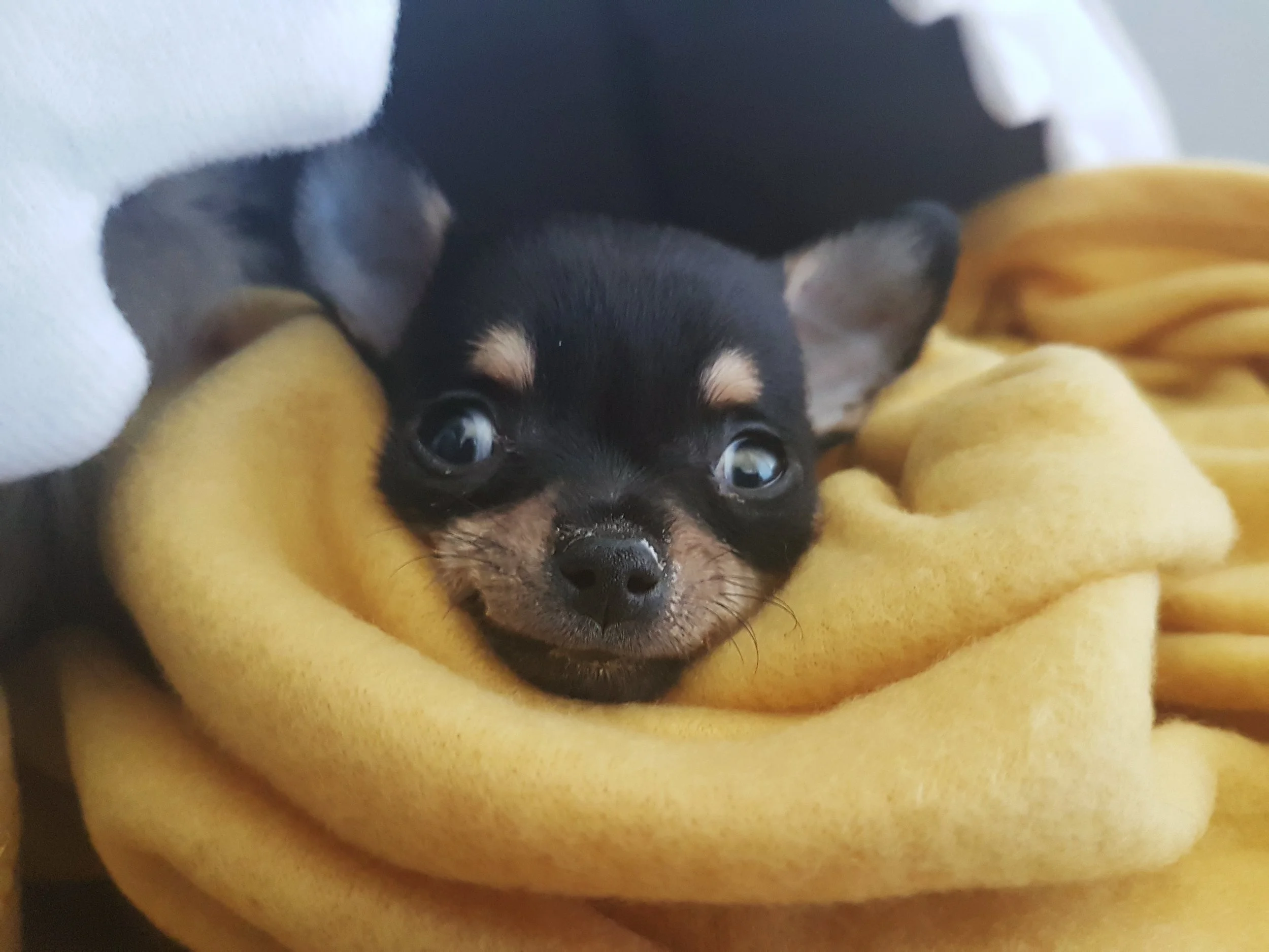 20180505_155443.jpg