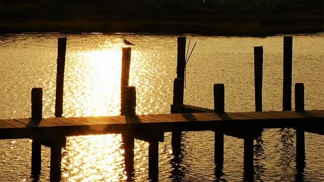 The Heart of Chesapeake Bay Country