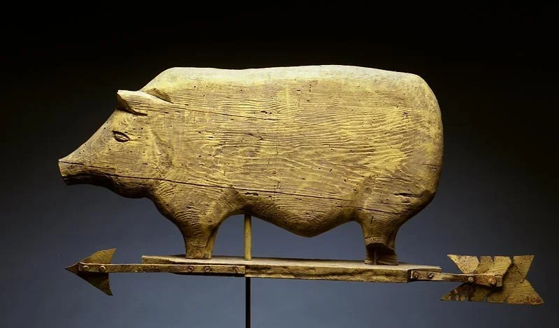 Pig.jpg