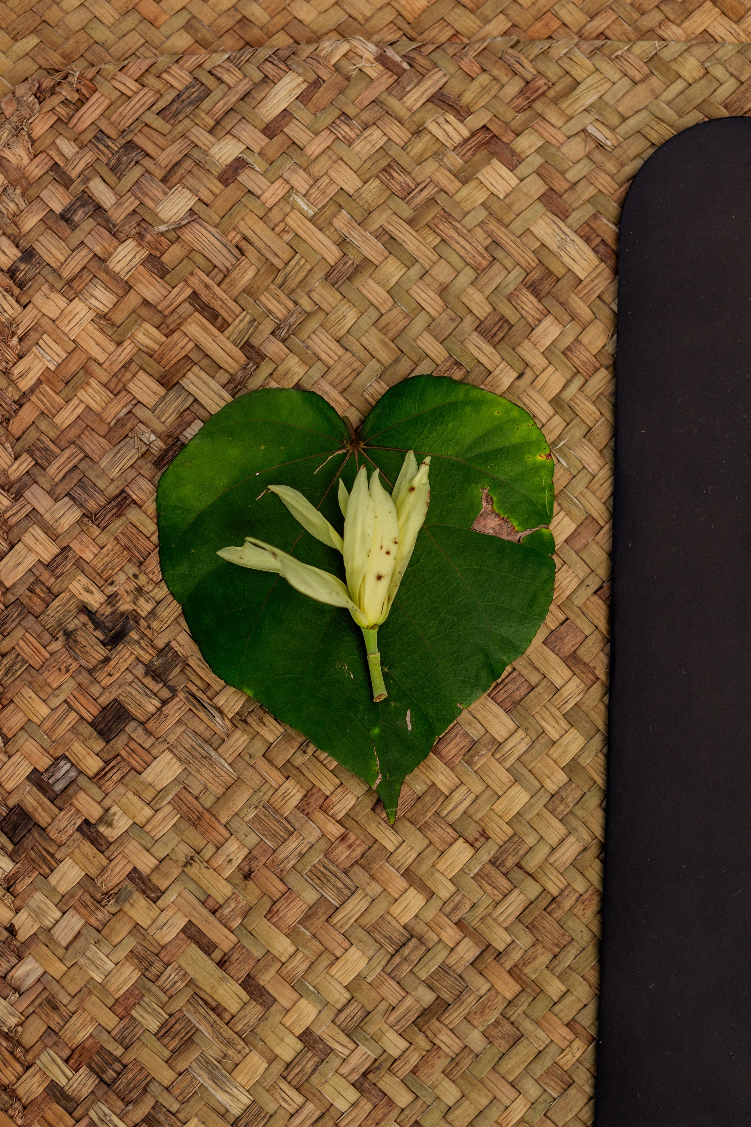 Photo 06-06-24 08.09.16.jpg