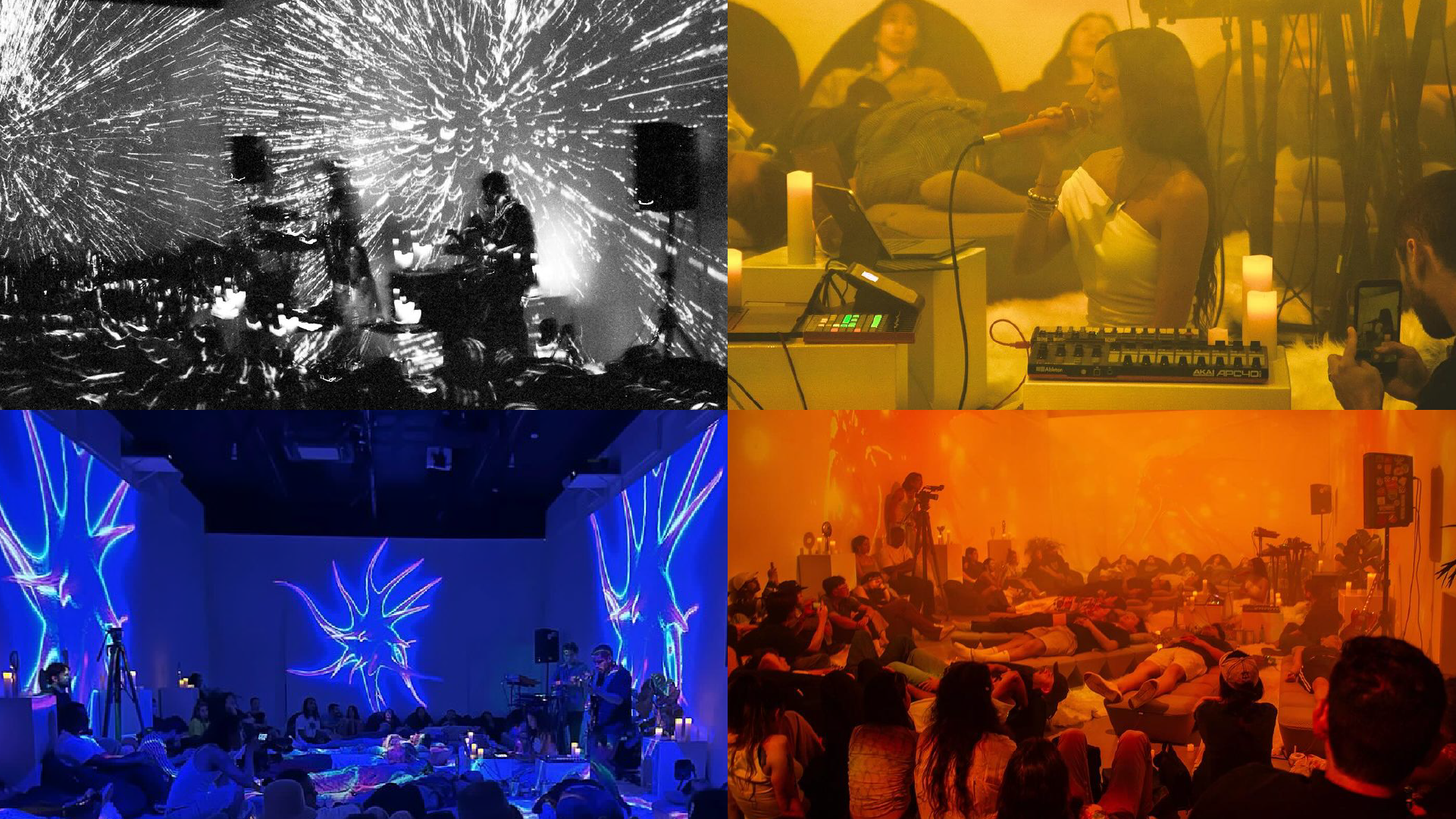 Artboard 1 copy 5.png