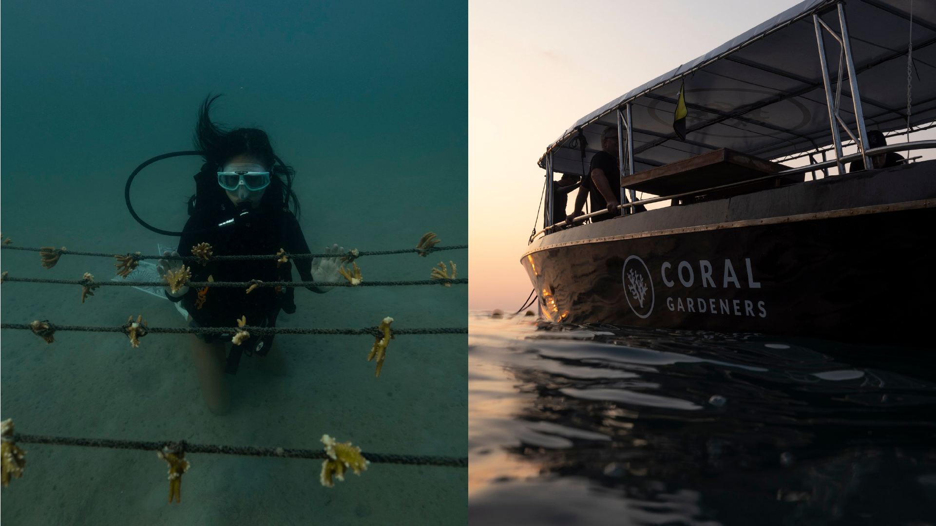 Artboard 19 copy.png