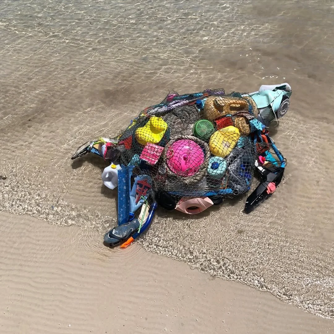 SaveClip.App_648941592_18115738090642169_1079976255767625214_n.jpg