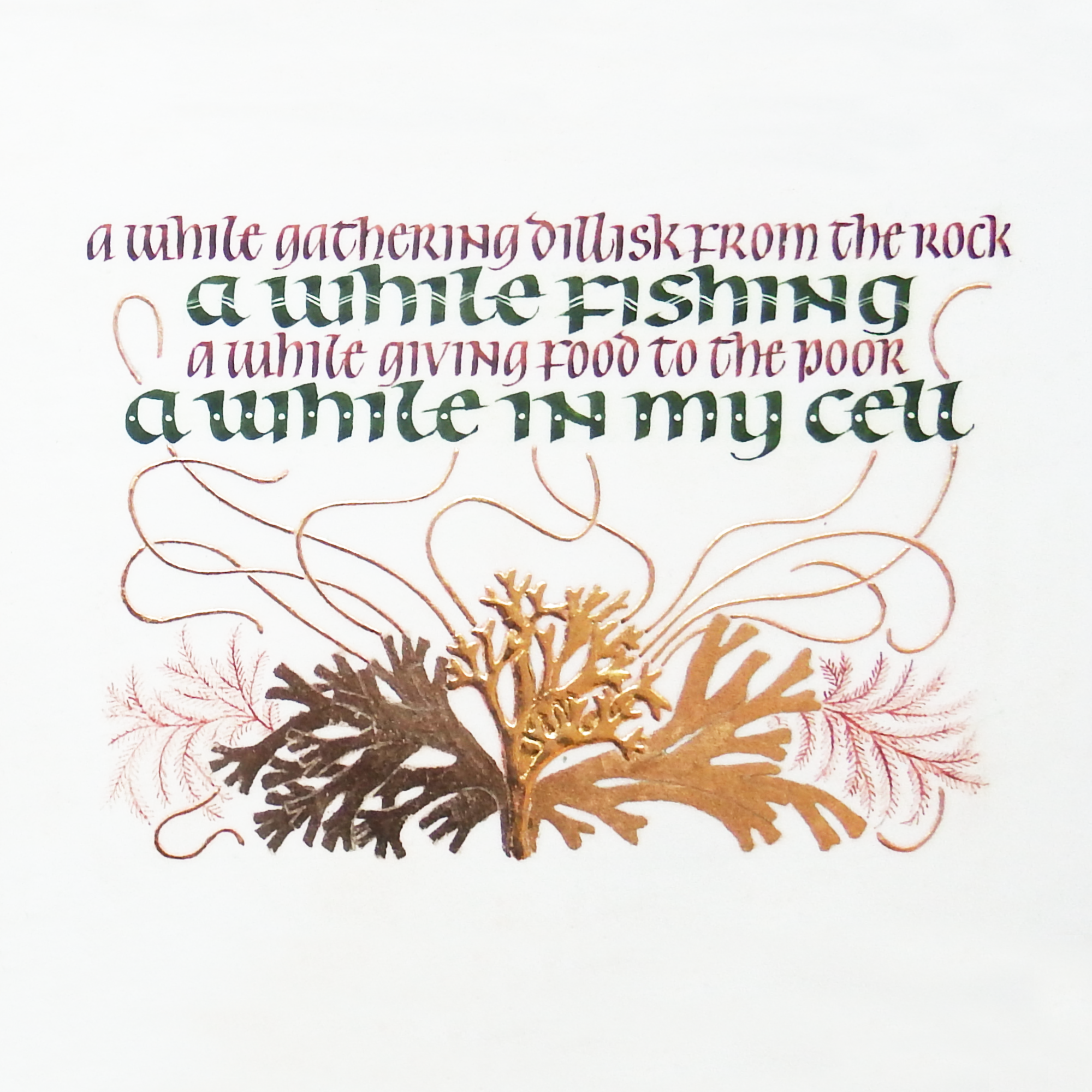 SEAWEED_THUMBNAIL 1.png