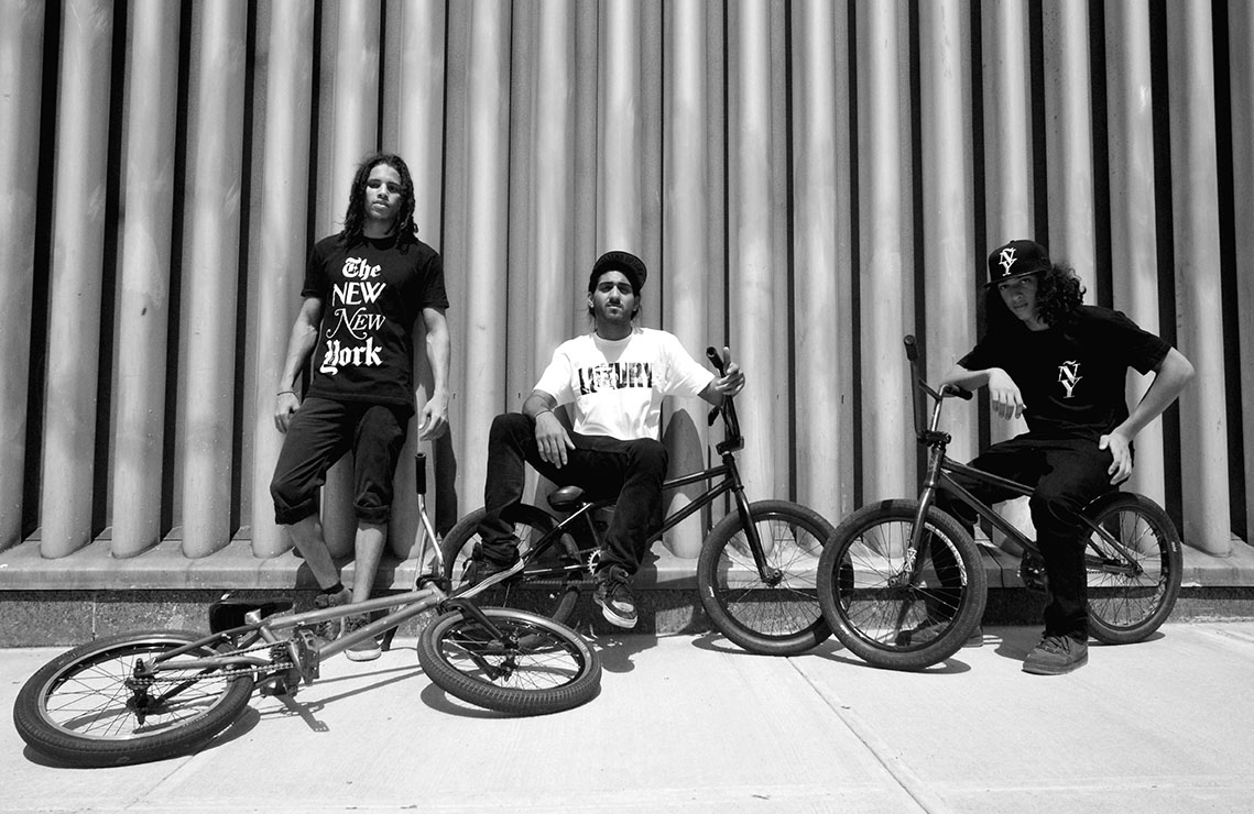 Peralta Project 2013